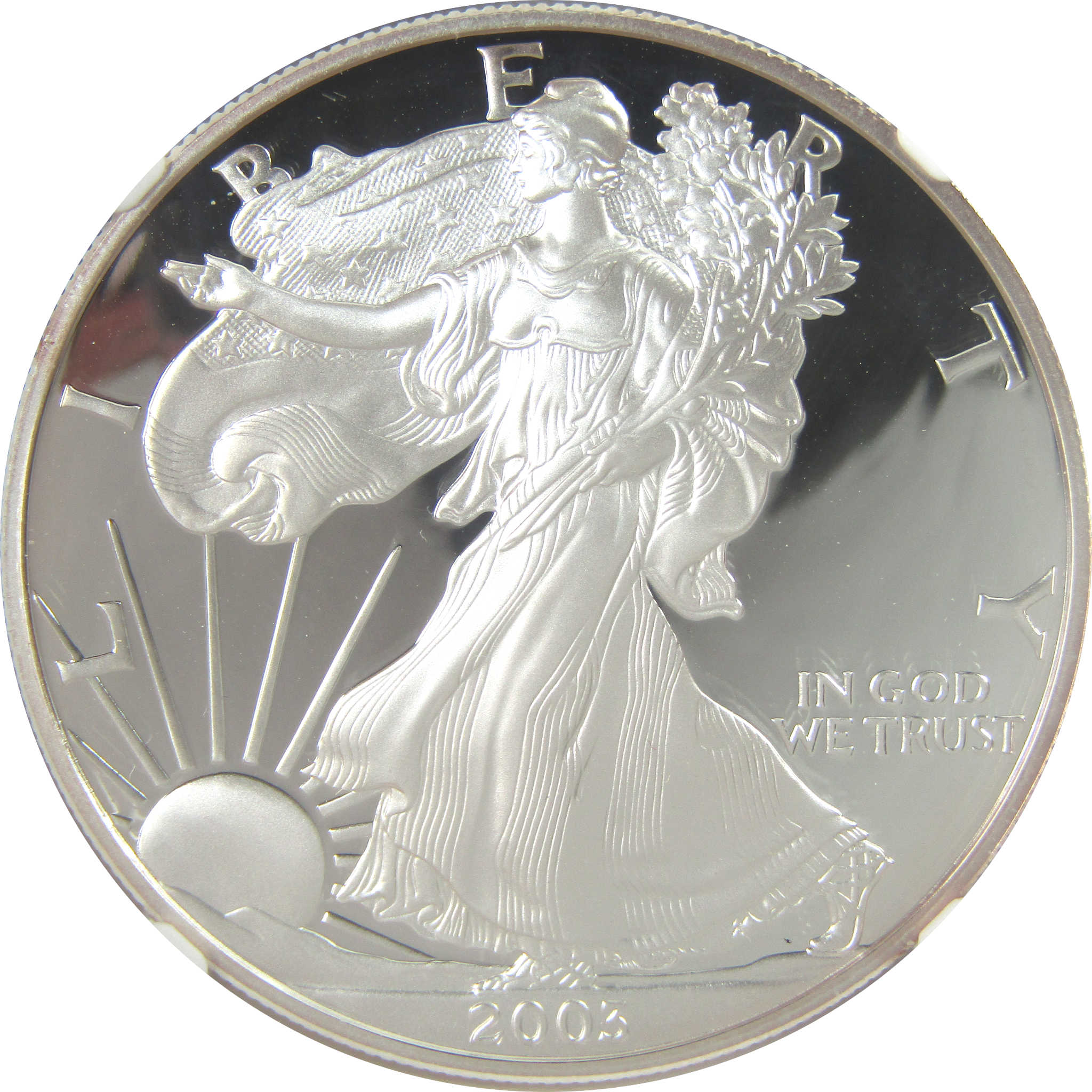 2004 W American Silver Eagle PF 69 UCAM NGC Proof $1 SKU:CPC9578