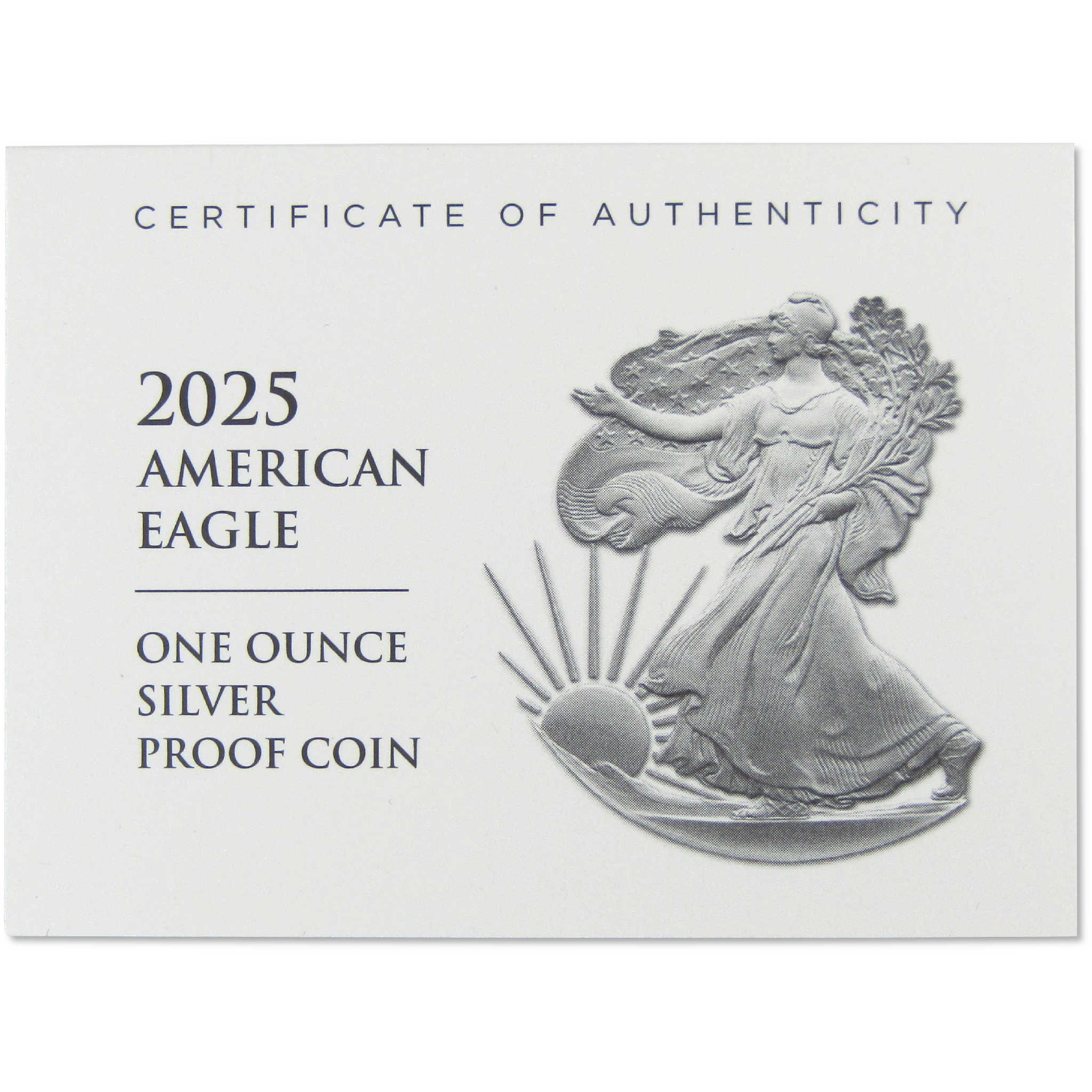 2025 S American Silver Eagle Bullion Proof $1 Coin Collectible OGP COA