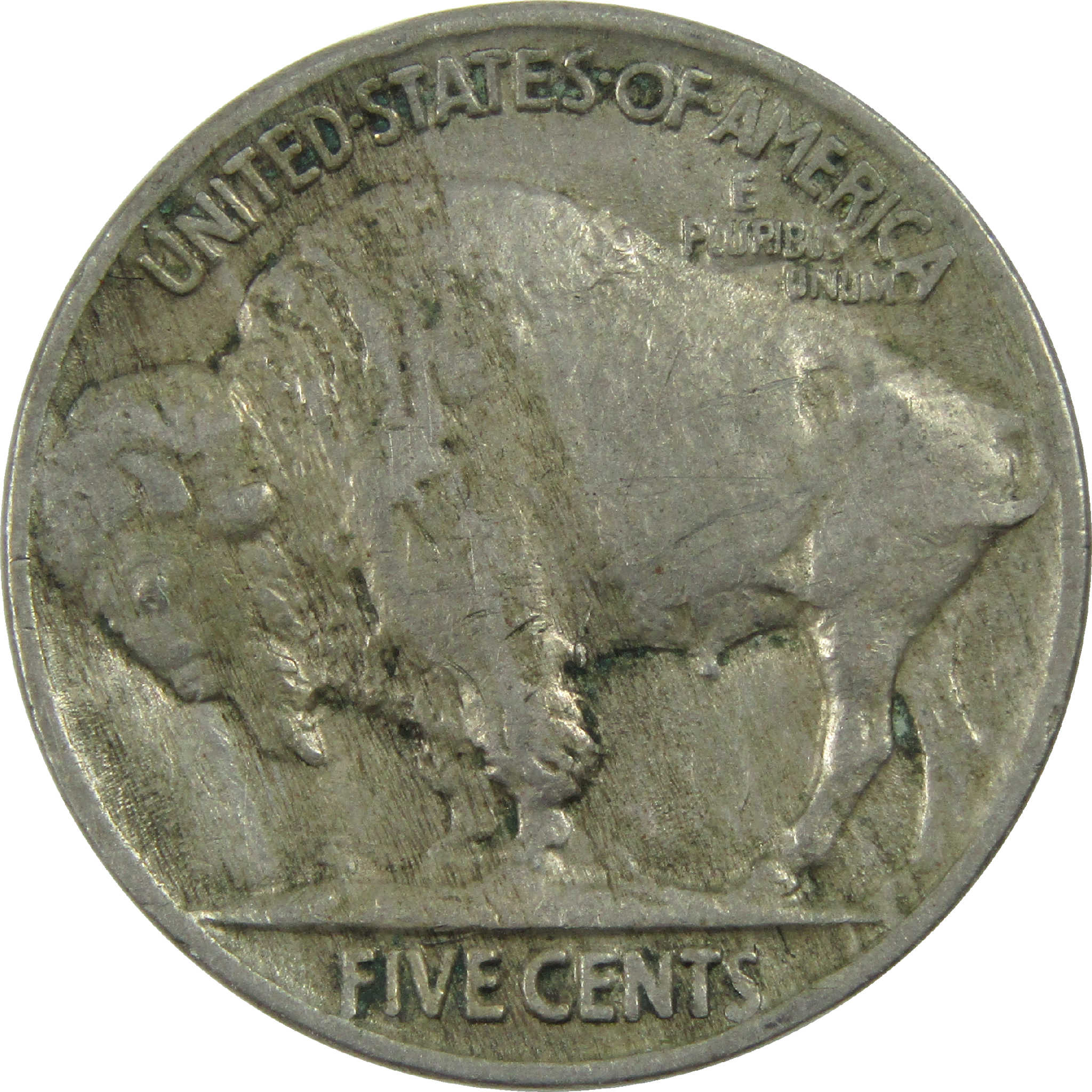 1919 Indian Head Buffalo Nickel XF EF Extremely Fine 5c SKU:I13530