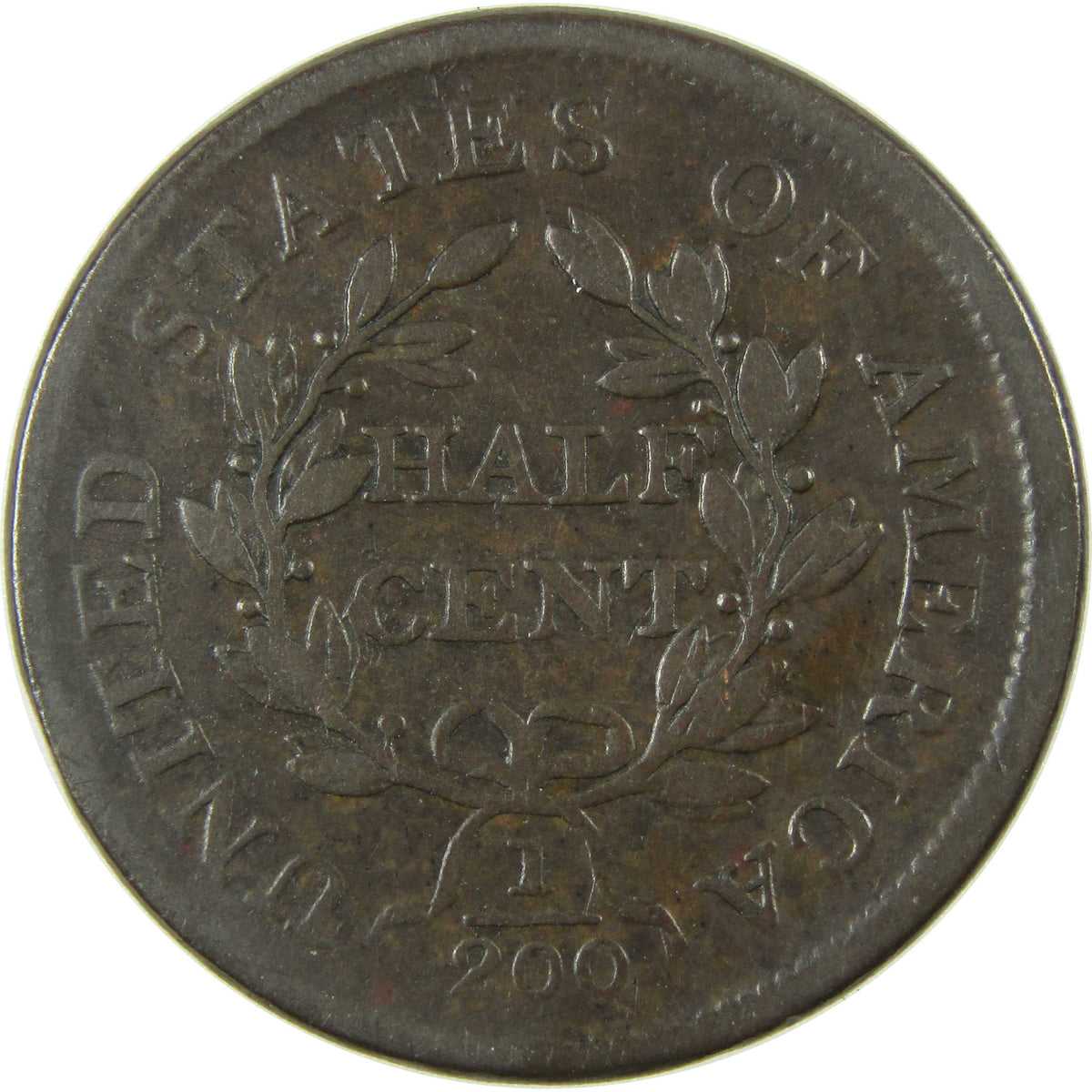 1805 Medium 5 No Stems Draped Bust Copper Half Cent VG Very Good Coin