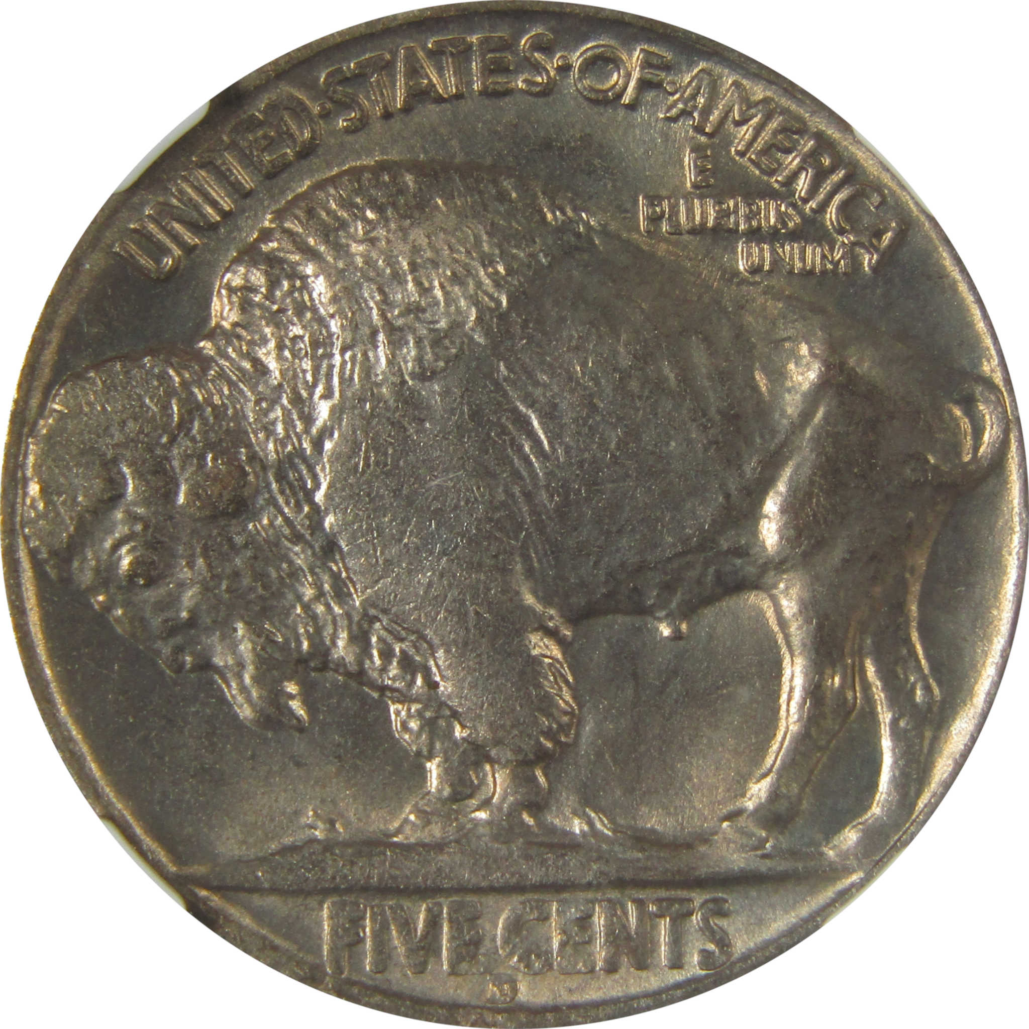 1936 D Indian Head Buffalo Nickel MS 64 NGC Bag Fragment SKU:I22648