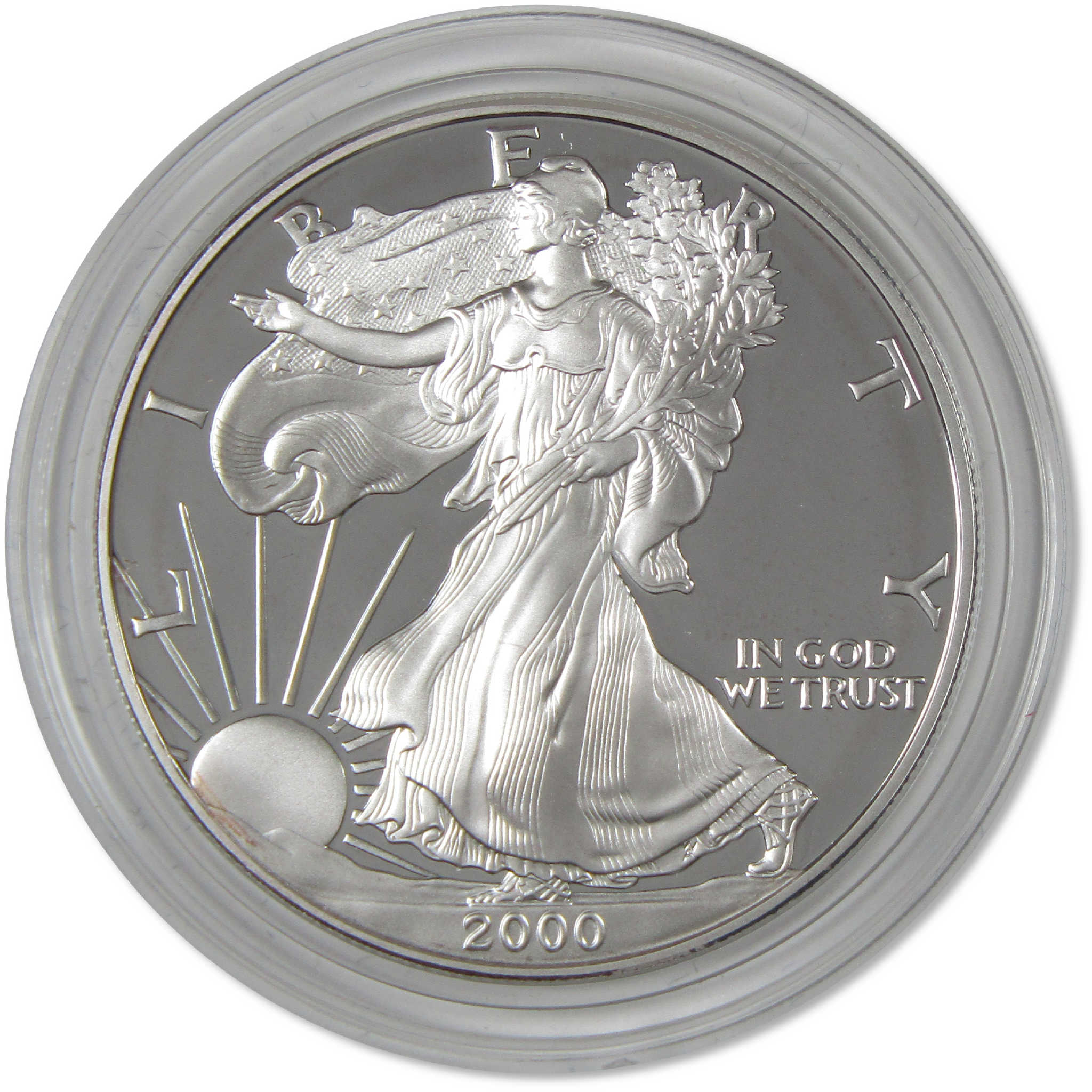 2000 P American Silver Eagle Bullion Proof $1 Coin Collectible OGP COA