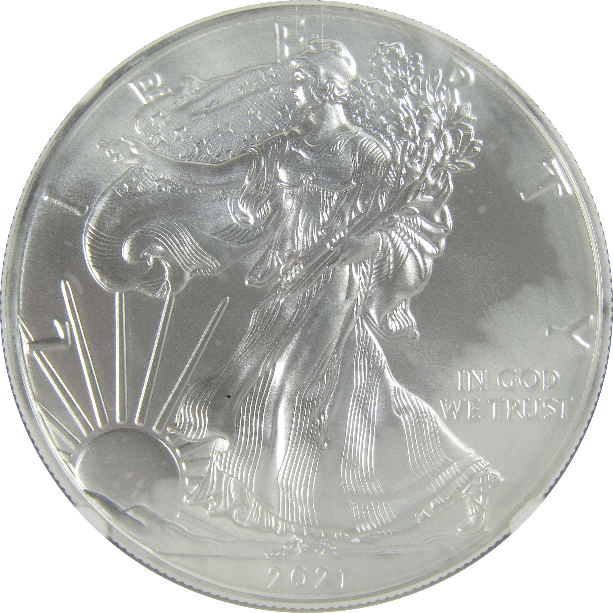 2021 Type 1 American Silver Eagle MS 70 NGC $1 First Day SKU:CPC9485