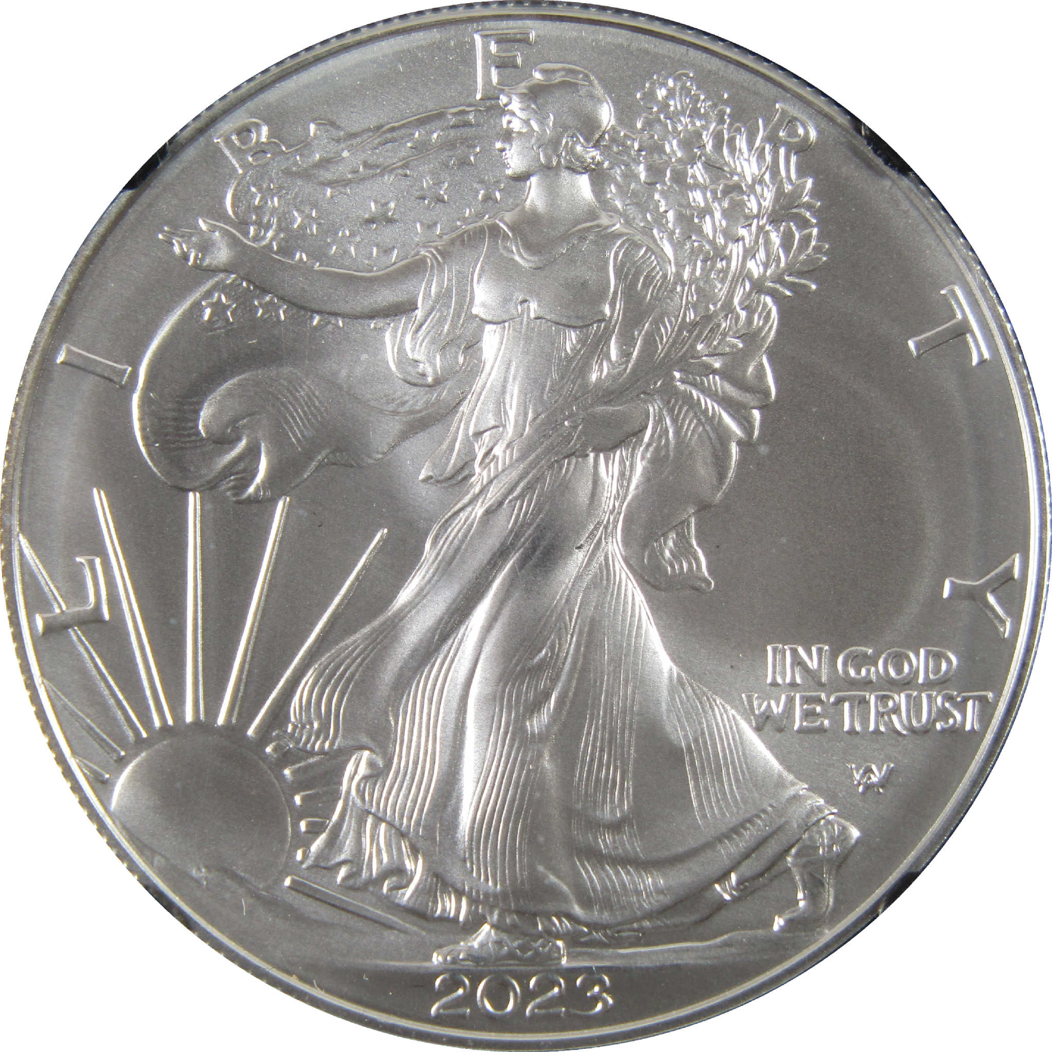 2023 American Silver Eagle MS 70 NGC $1 Unc SKU:CPC6439