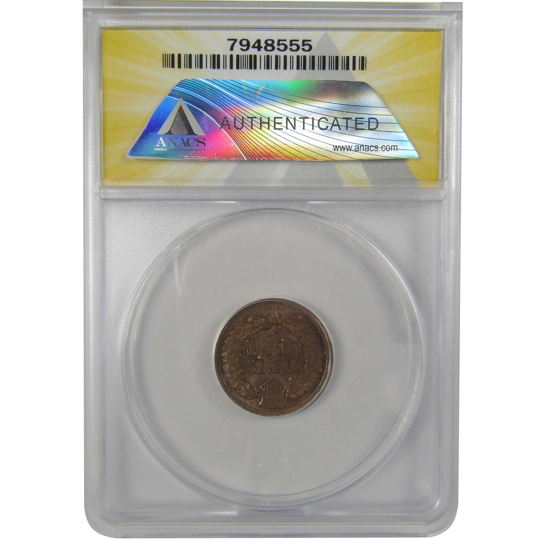 1901 Indian Head Cent MS 63 BN ANACS Penny Uncirculated SKU:I23009