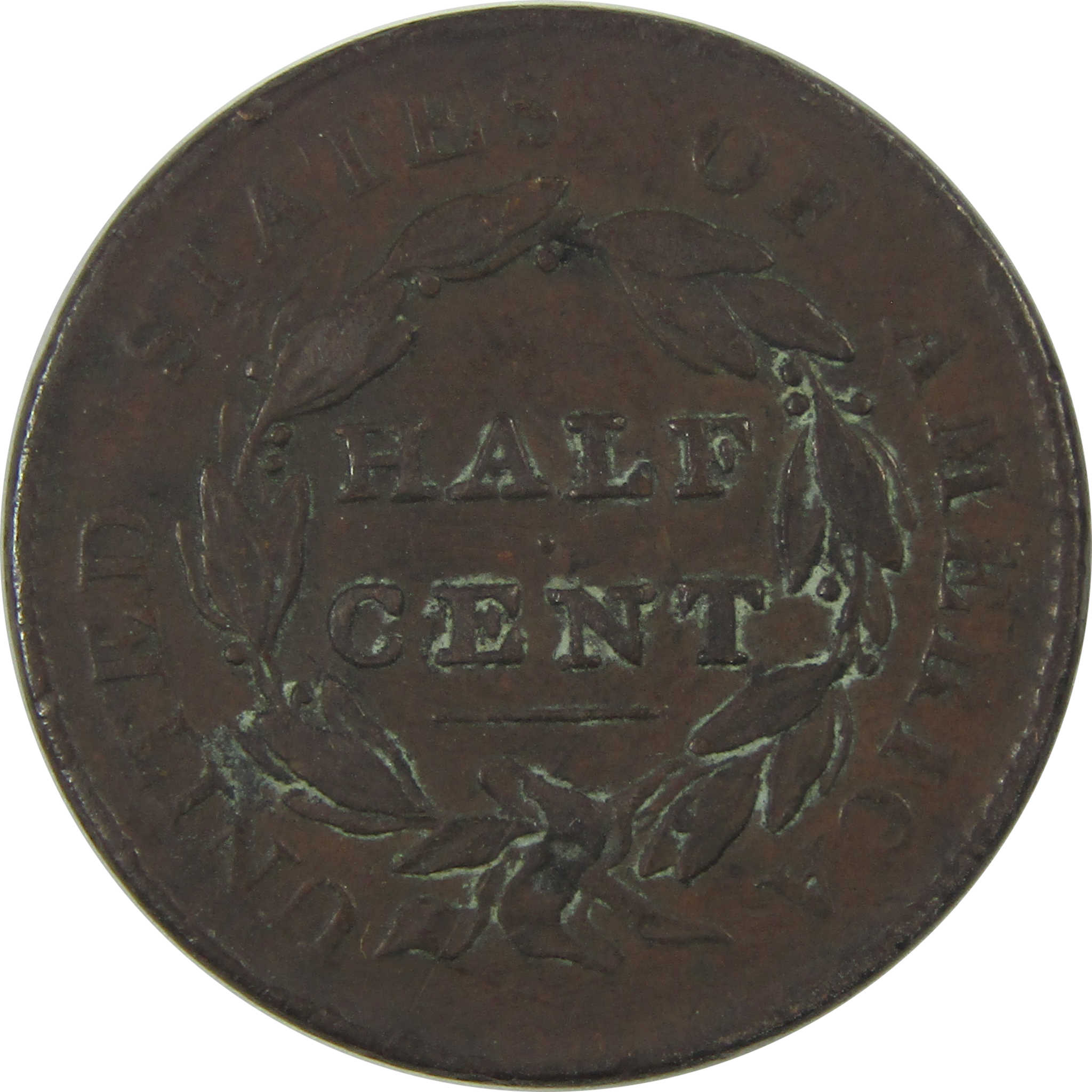 1828 13 Stars Classic Head Half Cent VF Details Copper SKU:CPC0570