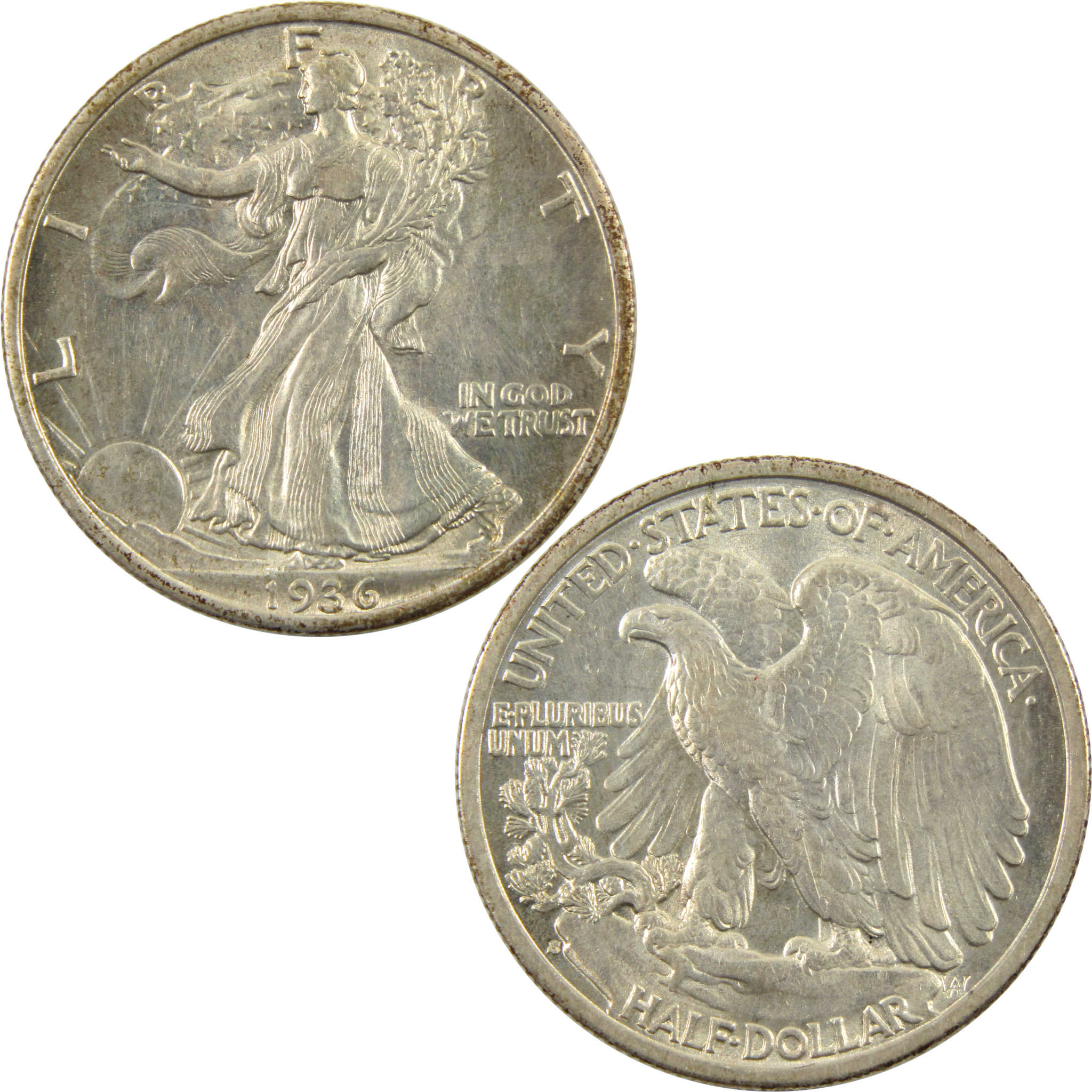 1936 Liberty Walking Half Dollar Borderline Uncirculated SKU:I10225