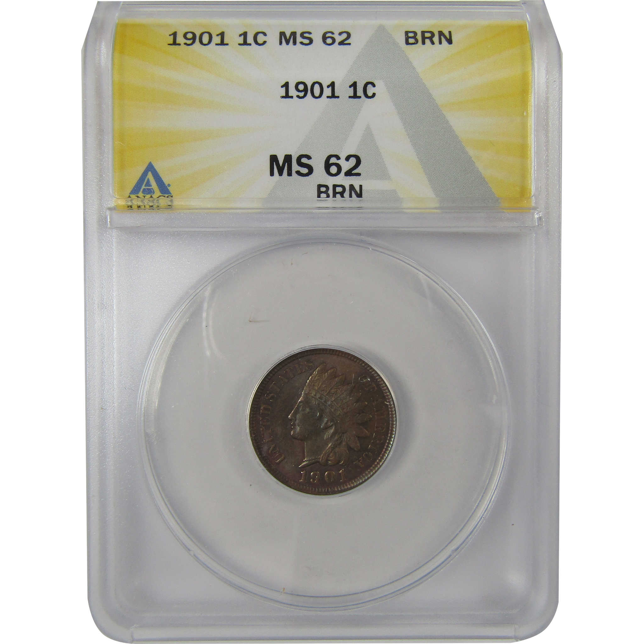 1901 Indian Head Cent MS 62 BN ANACS Penny Uncirculated SKU:I23008