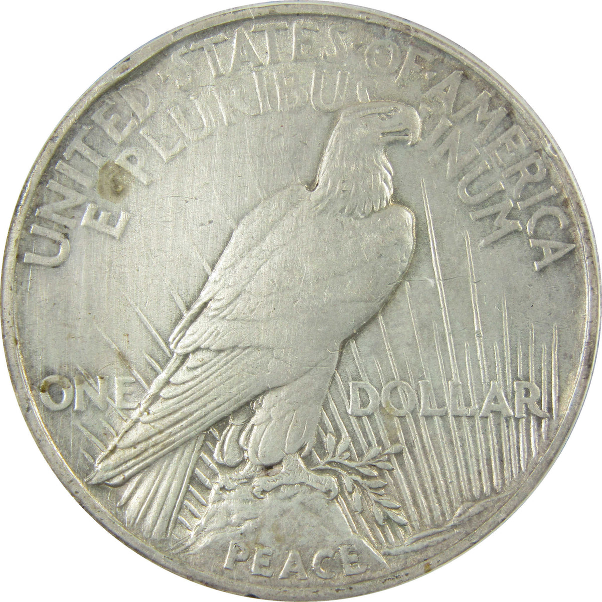 1921 High Relief Peace Silver Dollar EF 40 Details ANACS SKU:I28577