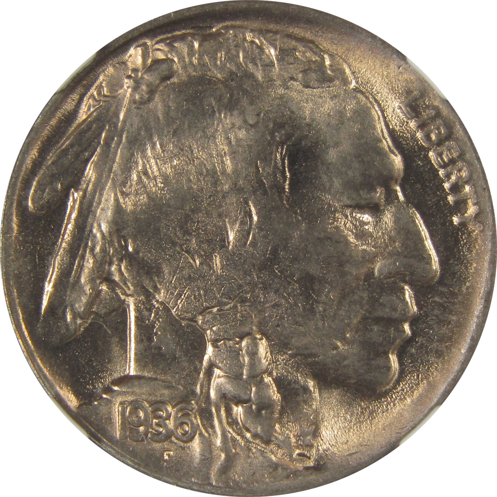 1936 D Indian Head Buffalo Nickel MS 66 NGC Bag Fragment SKU:I22663