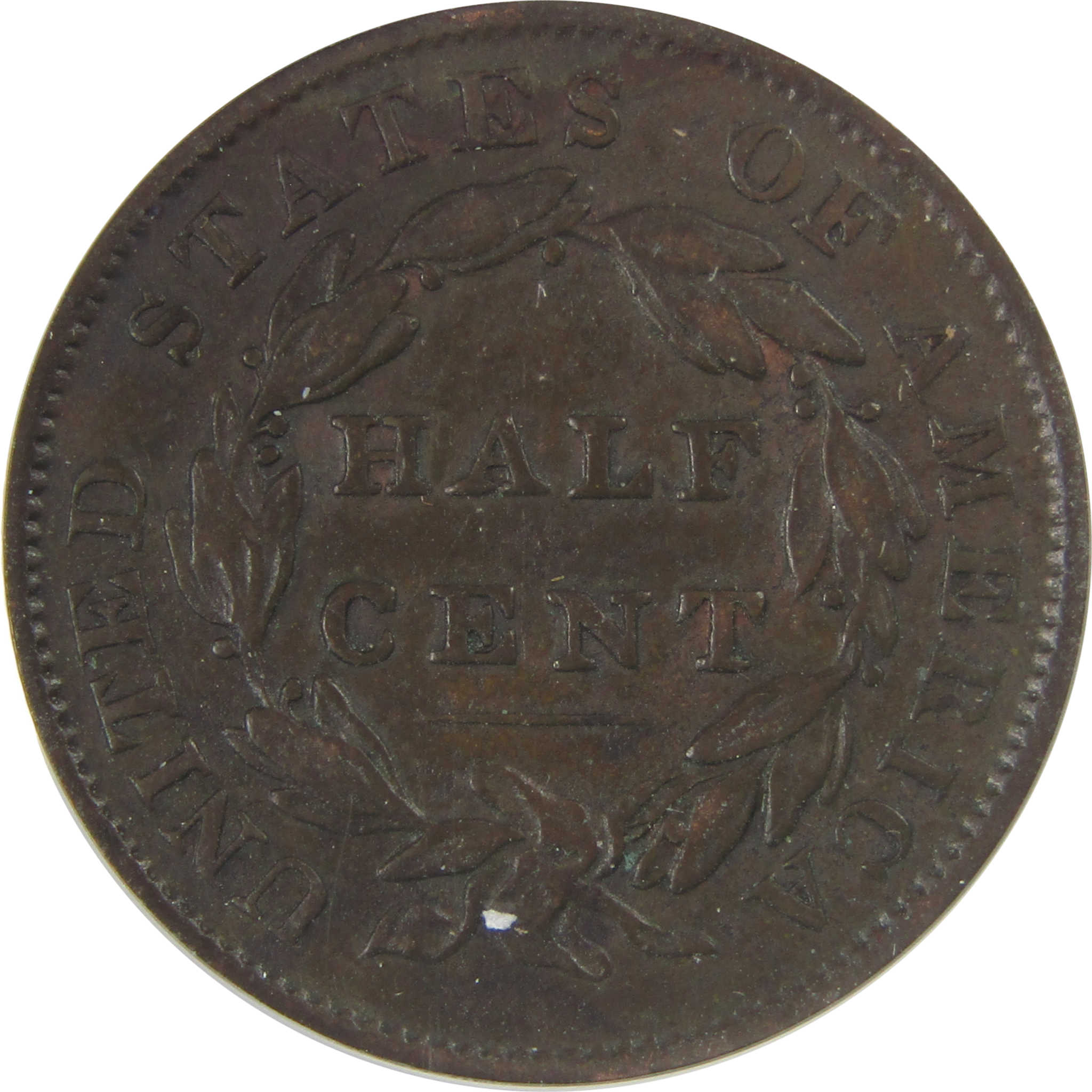 1835 Classic Head Half Cent VF 25 Details ANACS Copper SKU:CPC1133