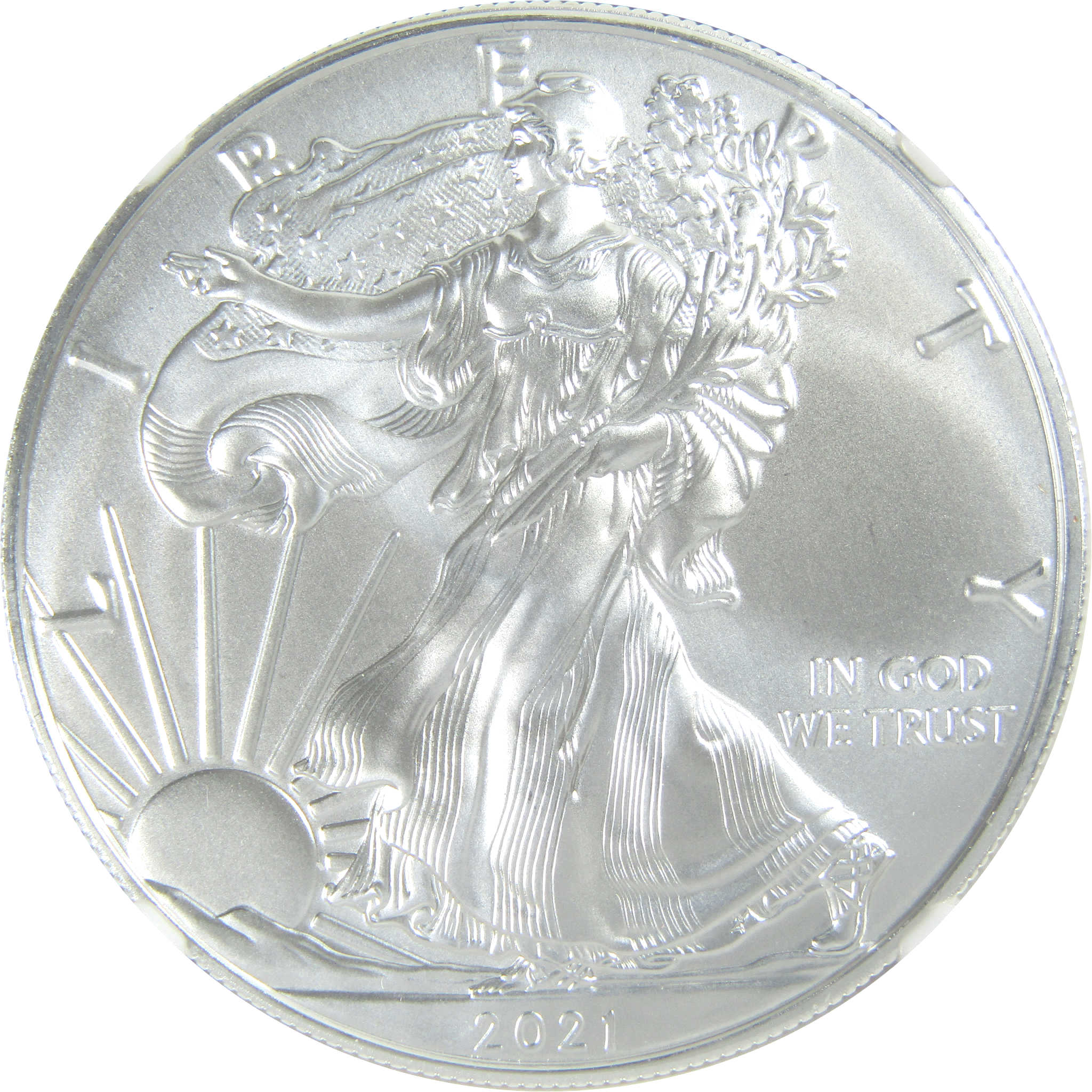 2021 (P) Type 1 American Silver Eagle Dollar MS 70 NGC SKU:CPC9438