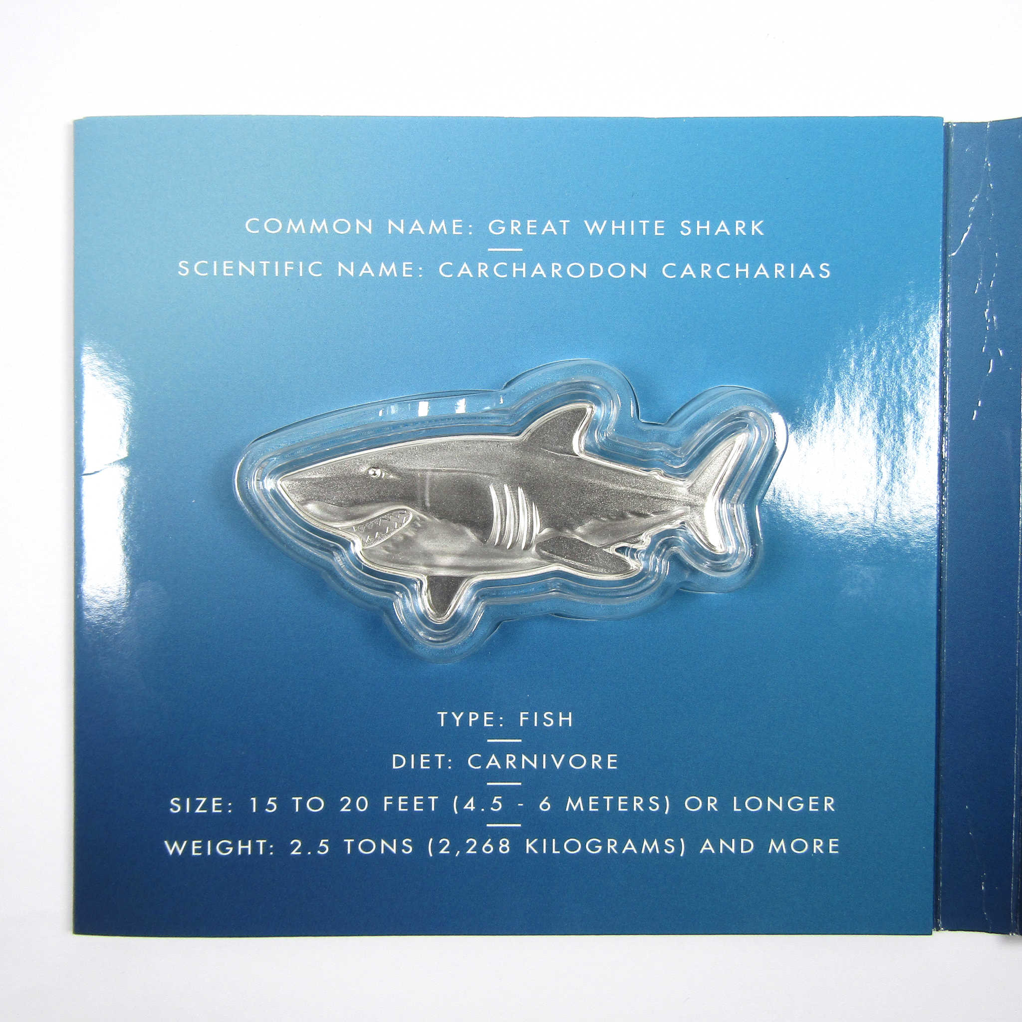 2019 Solomon Islands Great White Shark Coin Uncirculated SKU:CPC3698