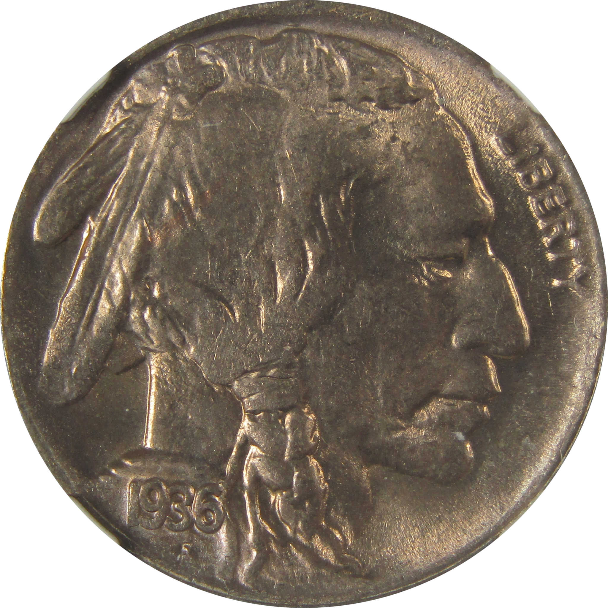 1936 D Indian Head Buffalo Nickel MS 65 NGC Bag Fragment SKU:I22653