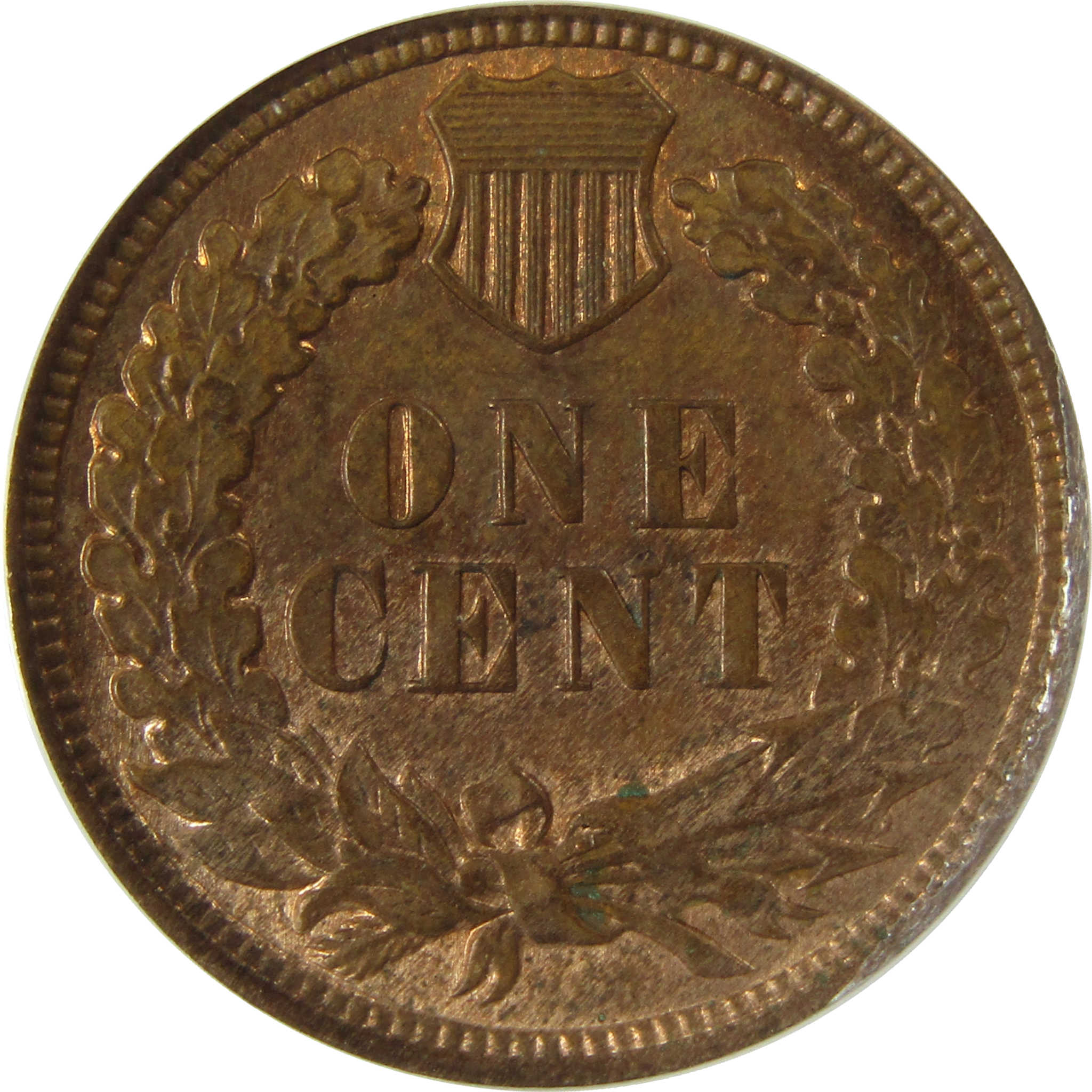 1909 Indian Head Cent MS 62 BN ANACS Uncirculated Penny SKU:I28400