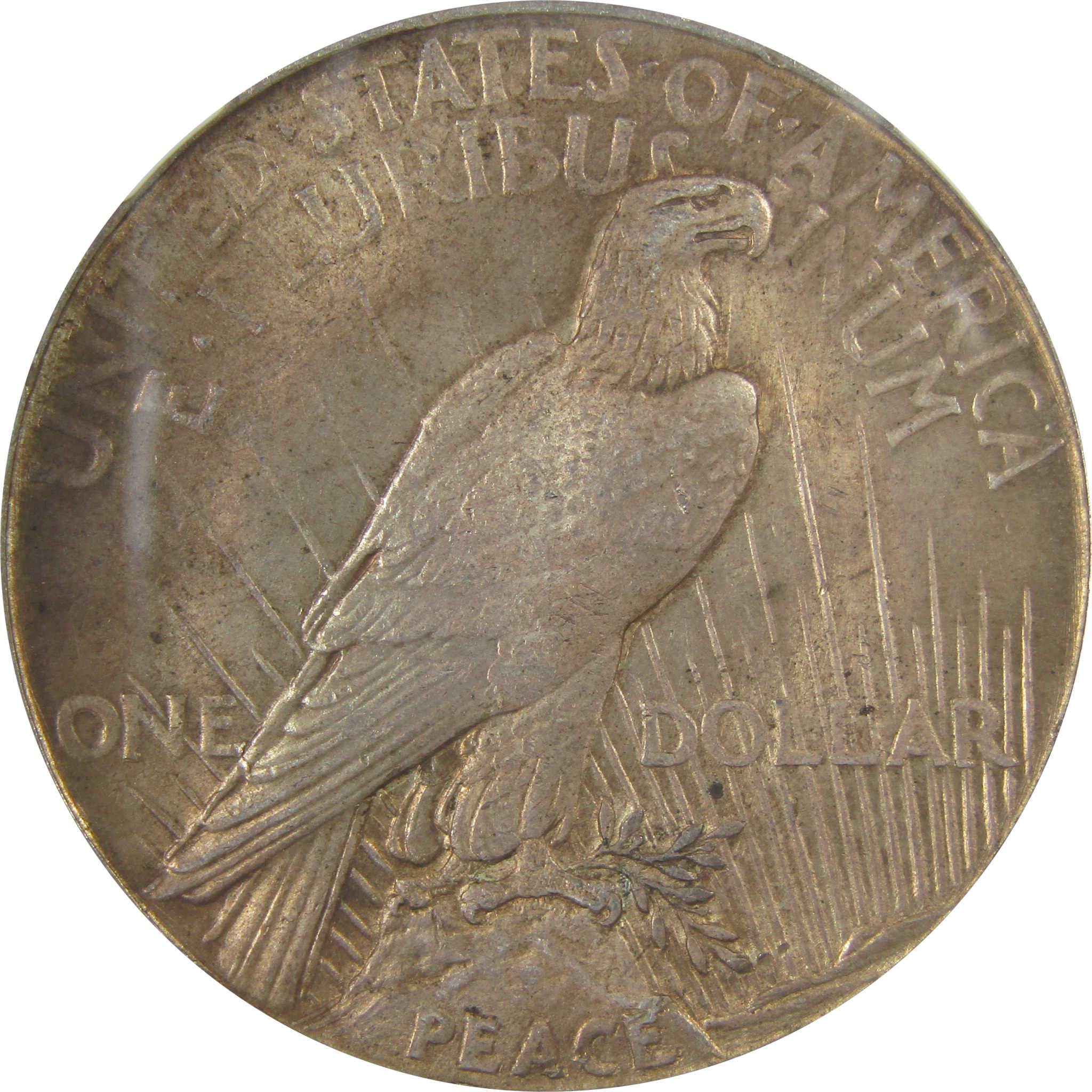 1921 High Relief Peace Dollar MS 63 NGC Silver Uncirculated SKU:I24640