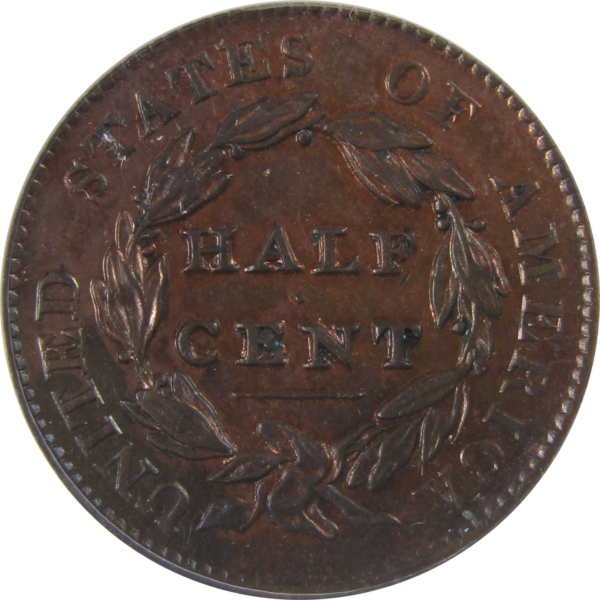 1828 13 Stars Classic Head Half Cent AU 50 Details ANACS SKU:CPC1130