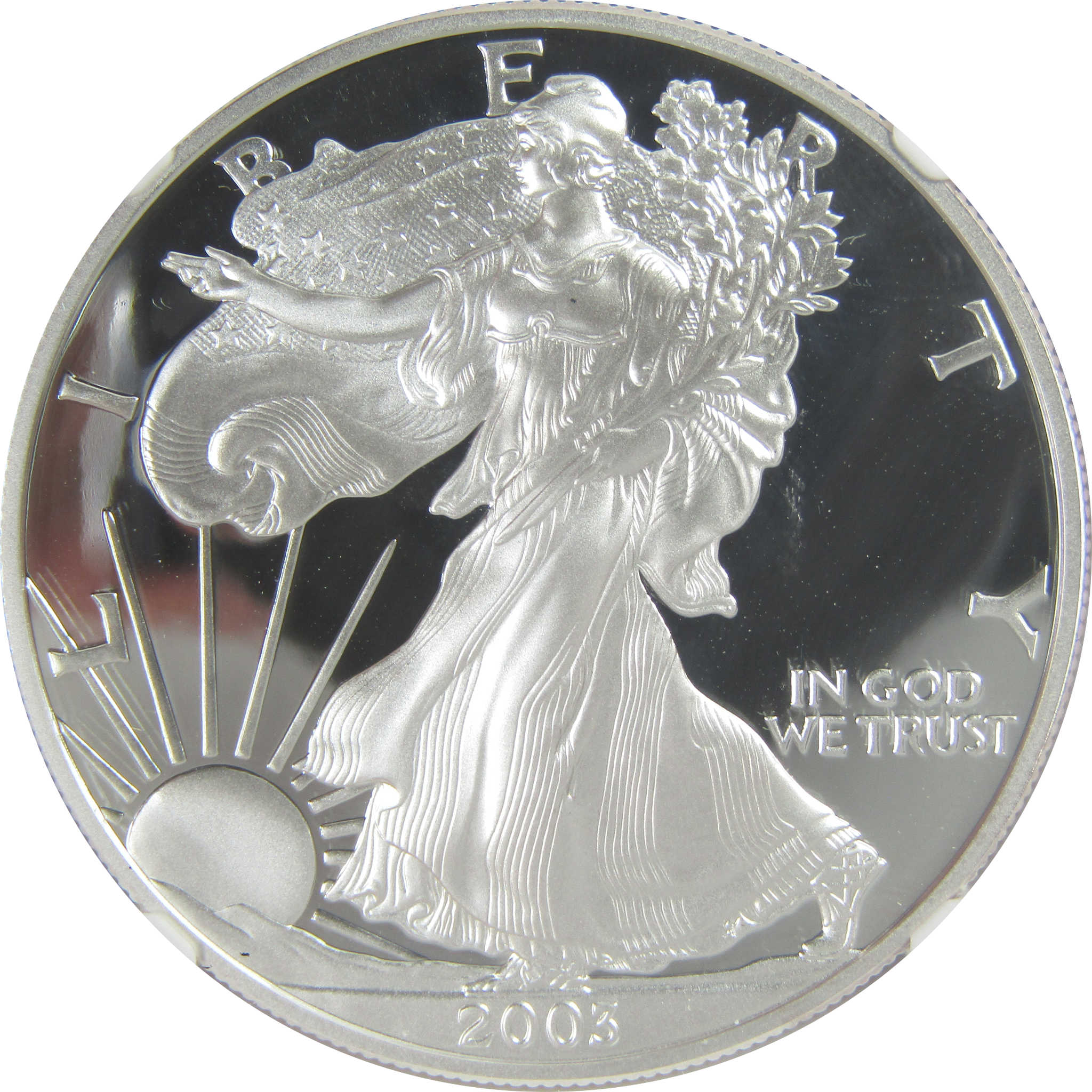 2003 W American Silver Eagle PF 70 UCAM NGC Proof $1 SKU:CPC9465