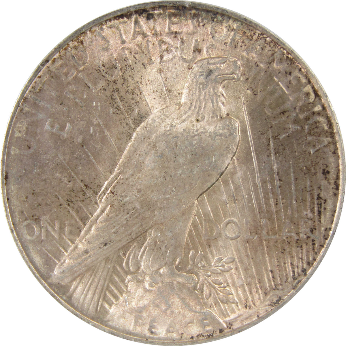 1924 Peace Silver Dollar MS 64 ICG Uncirculated $1 Coin SKU:I29174