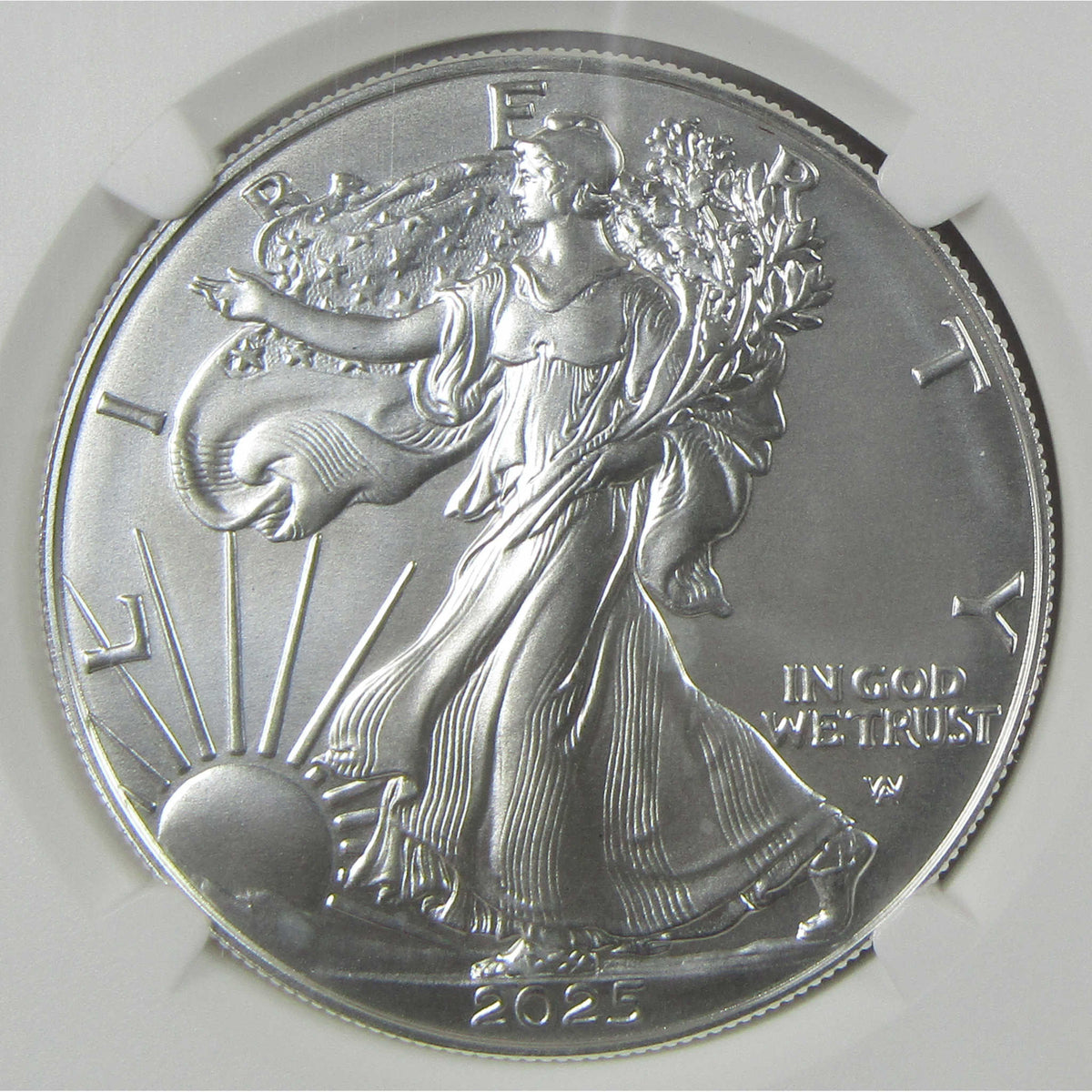 2025 W American Silver Eagle MS 70 NGC Burnished $1 Coin First Day