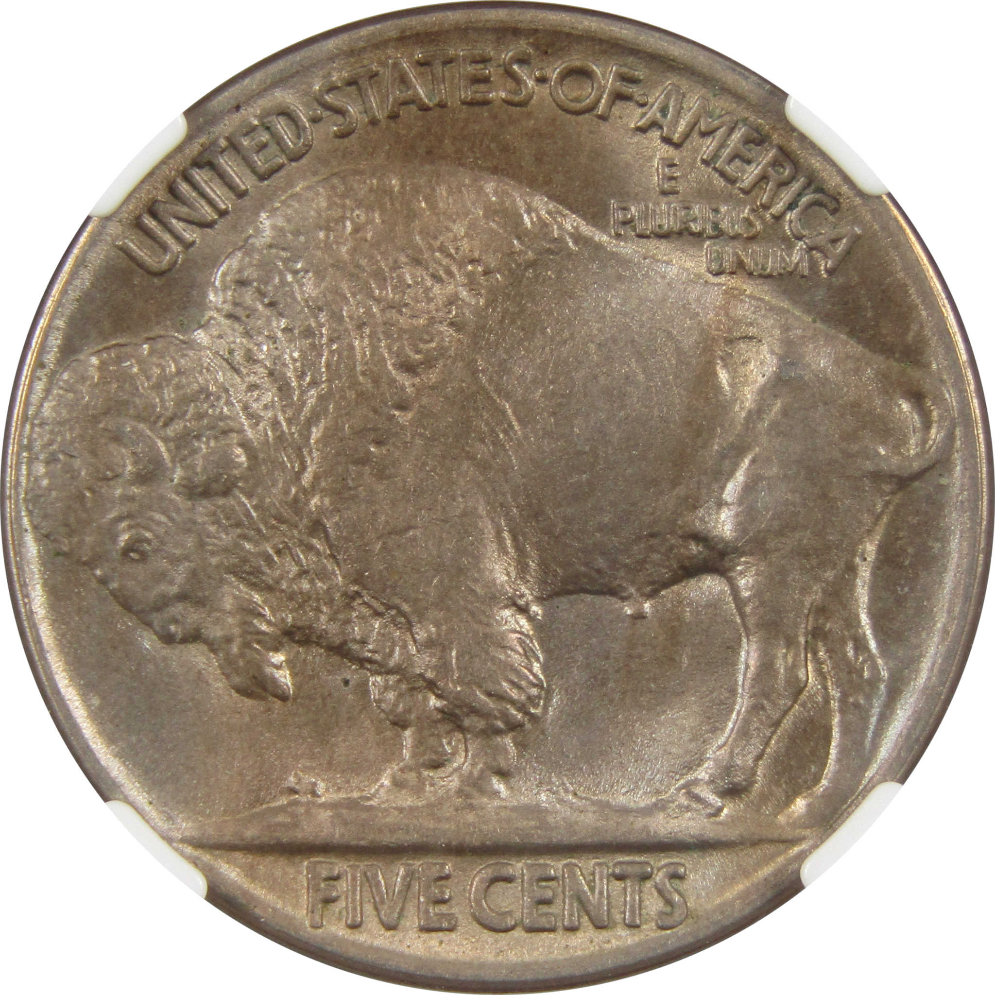 1925 Indian Head Buffalo Nickel MS 65 NGC 5c Coin SKU:I11721