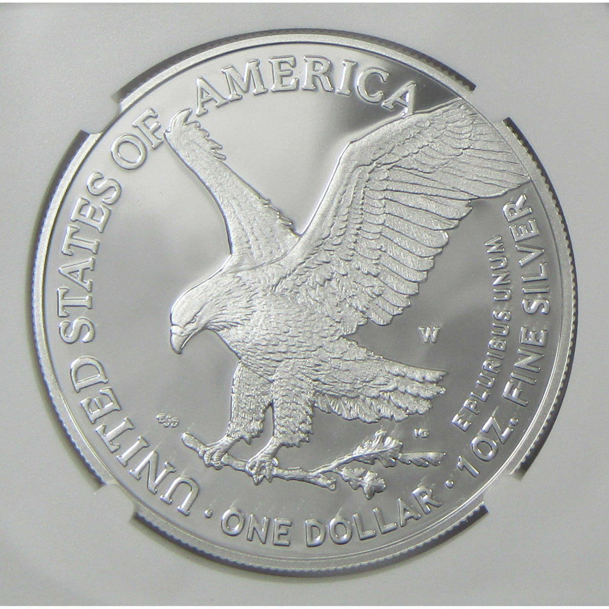 2025 W American Silver Eagle PF 70 UCAM NGC Proof $1 Coin First Day