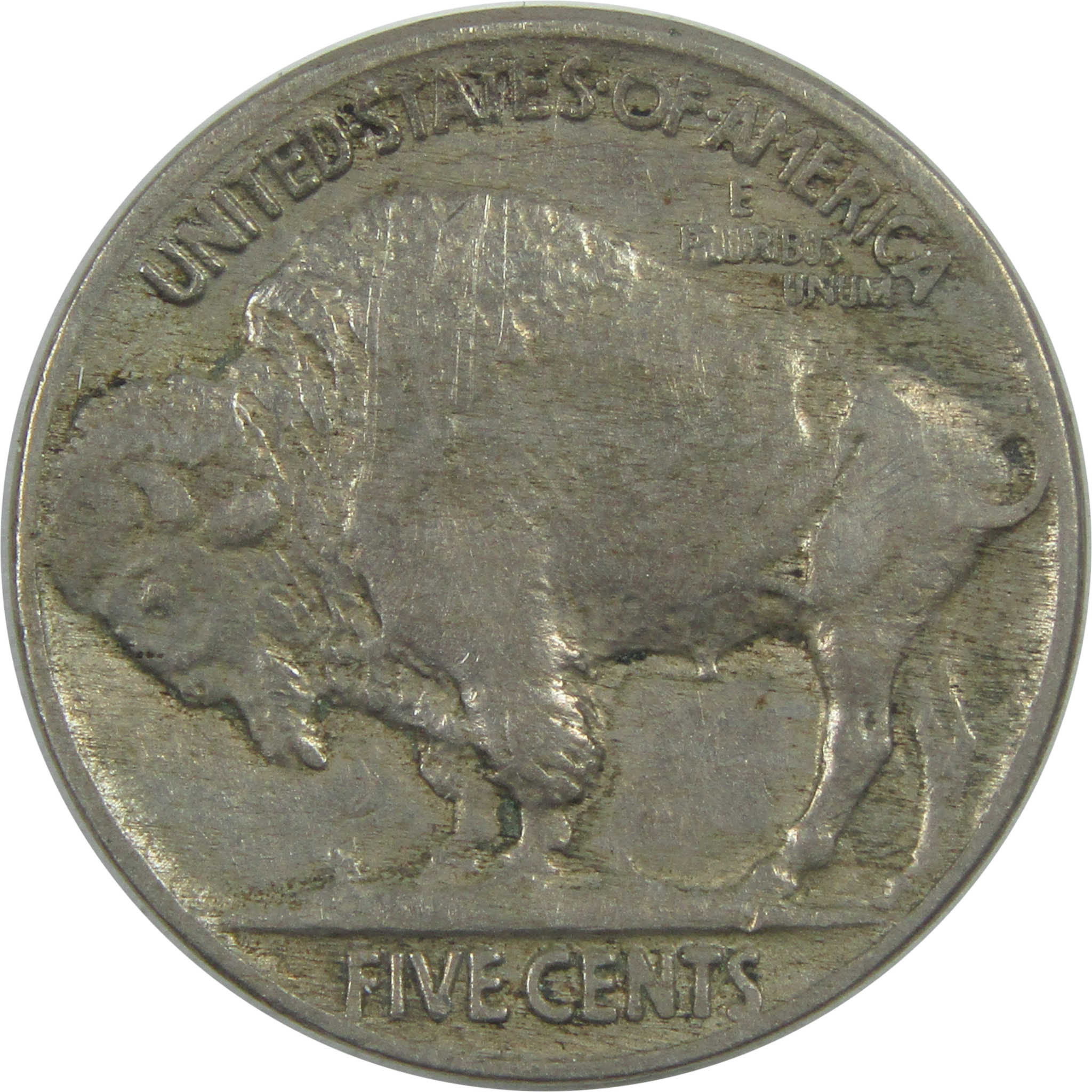 1919 Indian Head Buffalo Nickel XF EF Extremely Fine 5c SKU:I15501