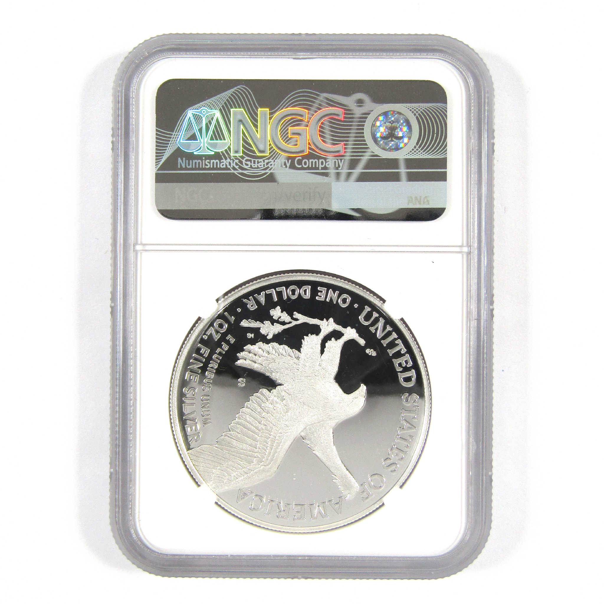 2022 S American Eagle Dollar PF 69 UCAM NGC $1 SKU:CPC4079