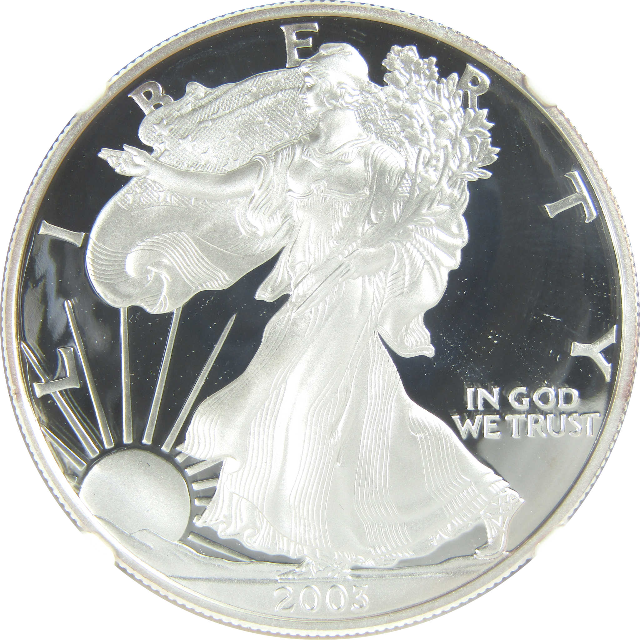 2003 W American Silver Eagle PF 69 UCAM NGC Proof $1 SKU:CPC9548