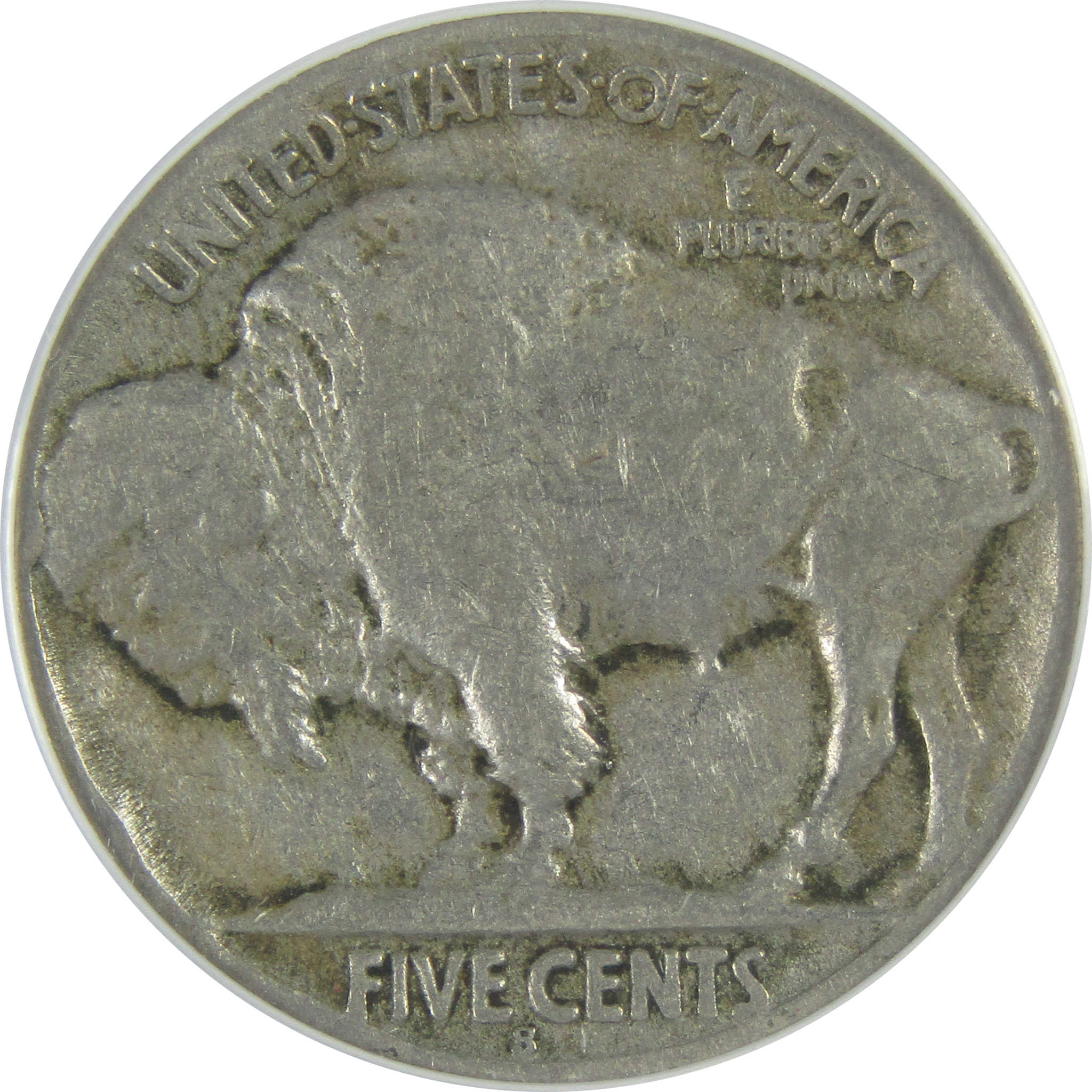 1919 S Indian Head Buffalo Nickel F 12 ANACS 5c Coin SKU:I16286