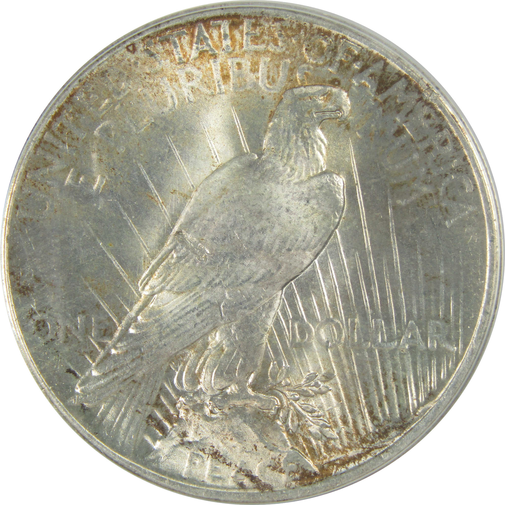 1925 Peace Dollar MS 63 ANACS Silver Struck Through Debris SKU:I16387