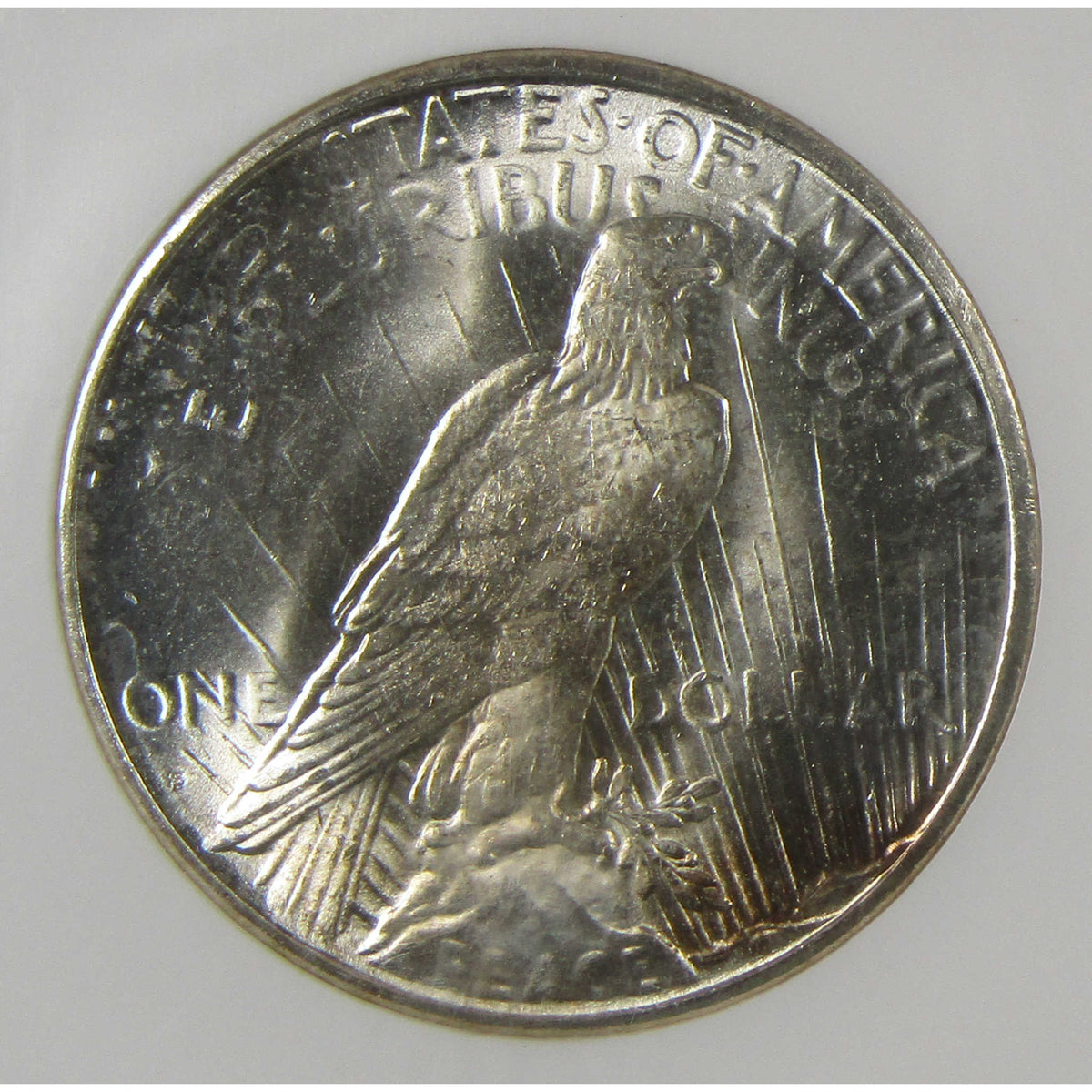 1925 S Peace Silver Dollar MS 63 NGC Uncirculated $1 Coin Collectible