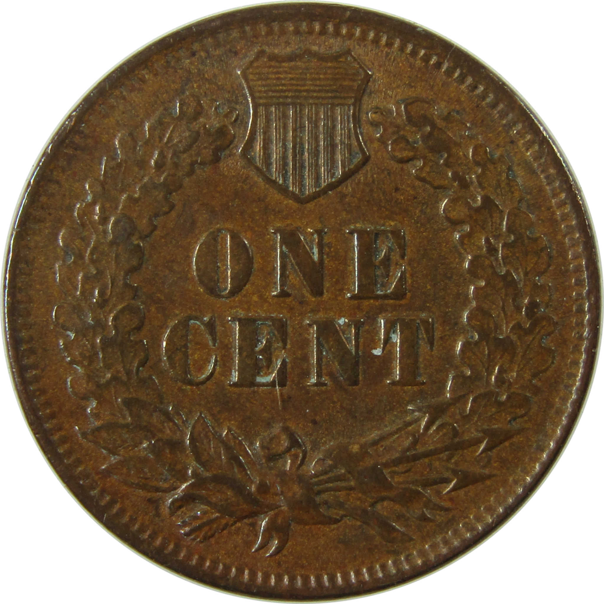 1901 Indian Head Cent Extremely Fine / About Uncirculated SKU:I25785