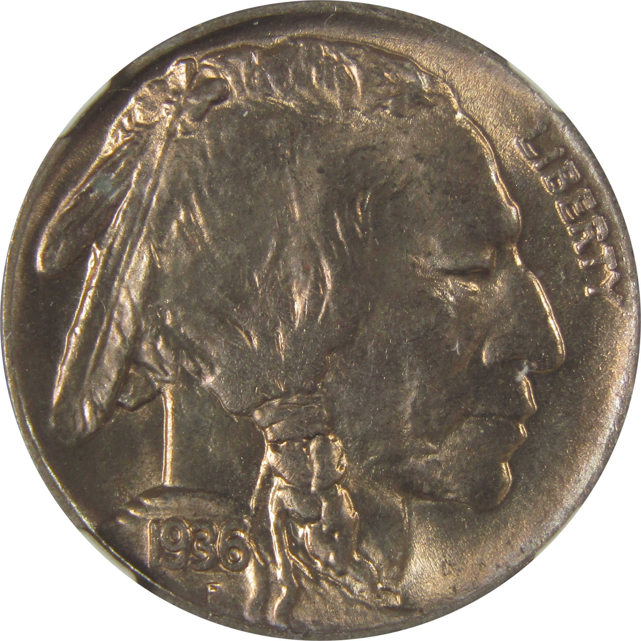 1936 D Indian Head Buffalo Nickel MS 66 NGC Bag Fragment SKU:I22661