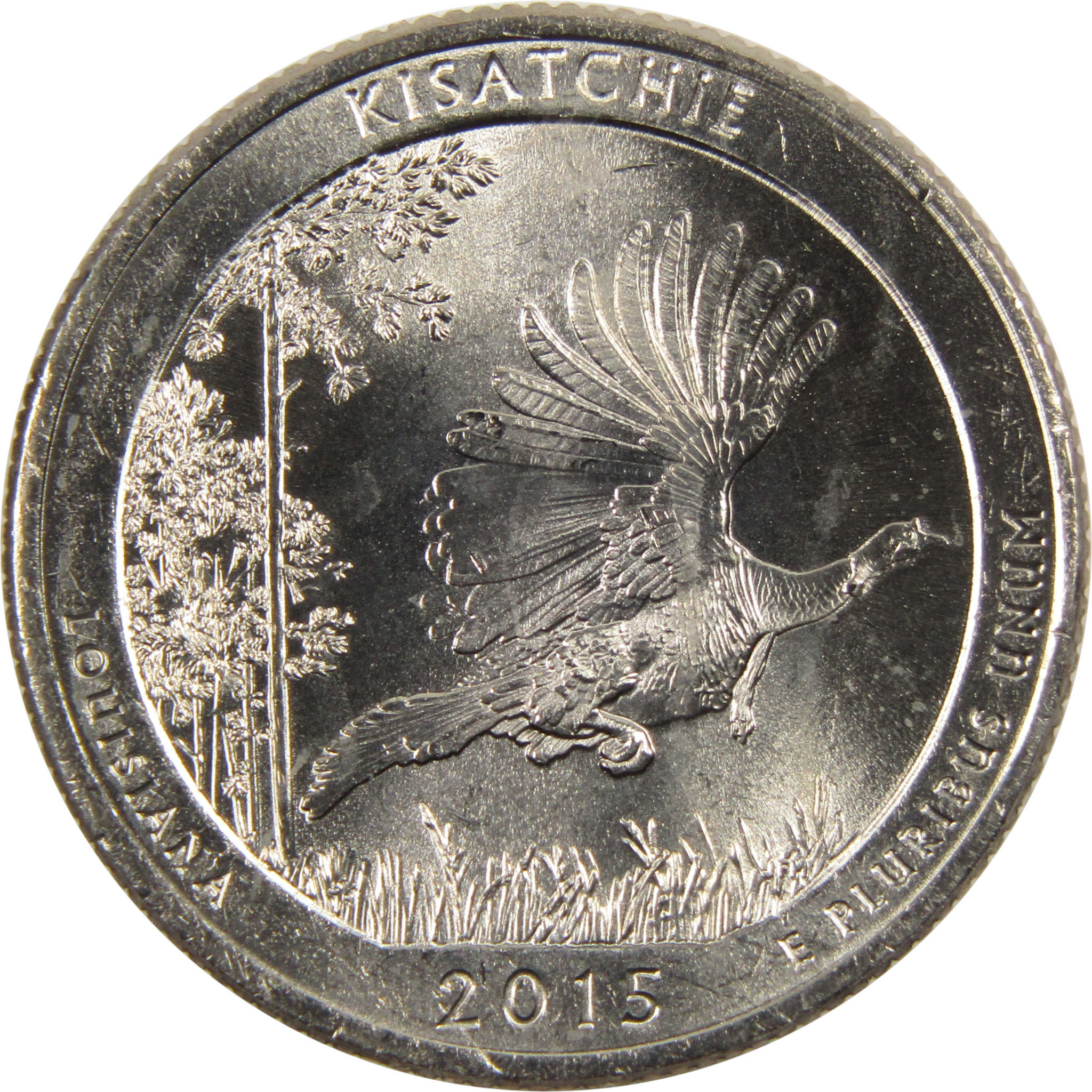 2015 P Kisatchie National Forest Quarter BU Uncirculated Clad 25c Coin