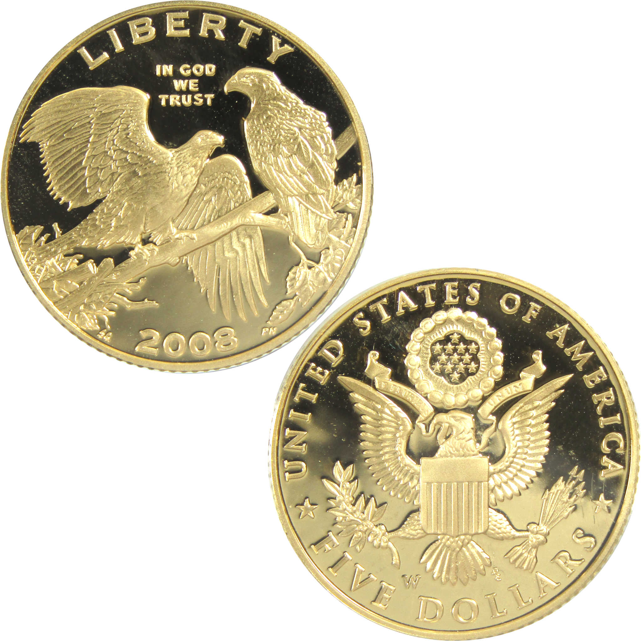 Bald Eagle Recovery Commemorative 2008 W Proof Gold $5 Coin