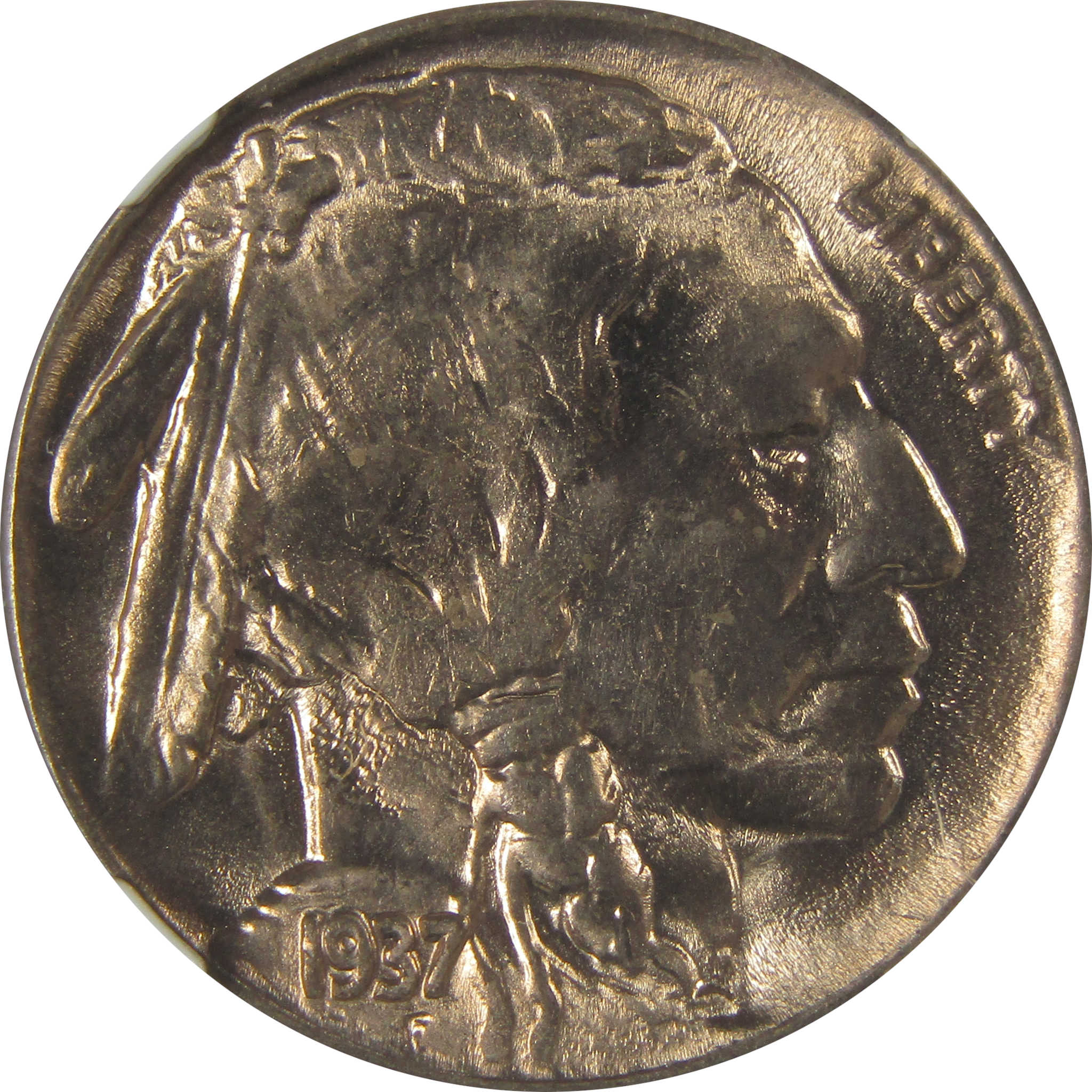 1937 D Indian Head Buffalo Nickel MS 66 NGC Bag Fragment SKU:I22672