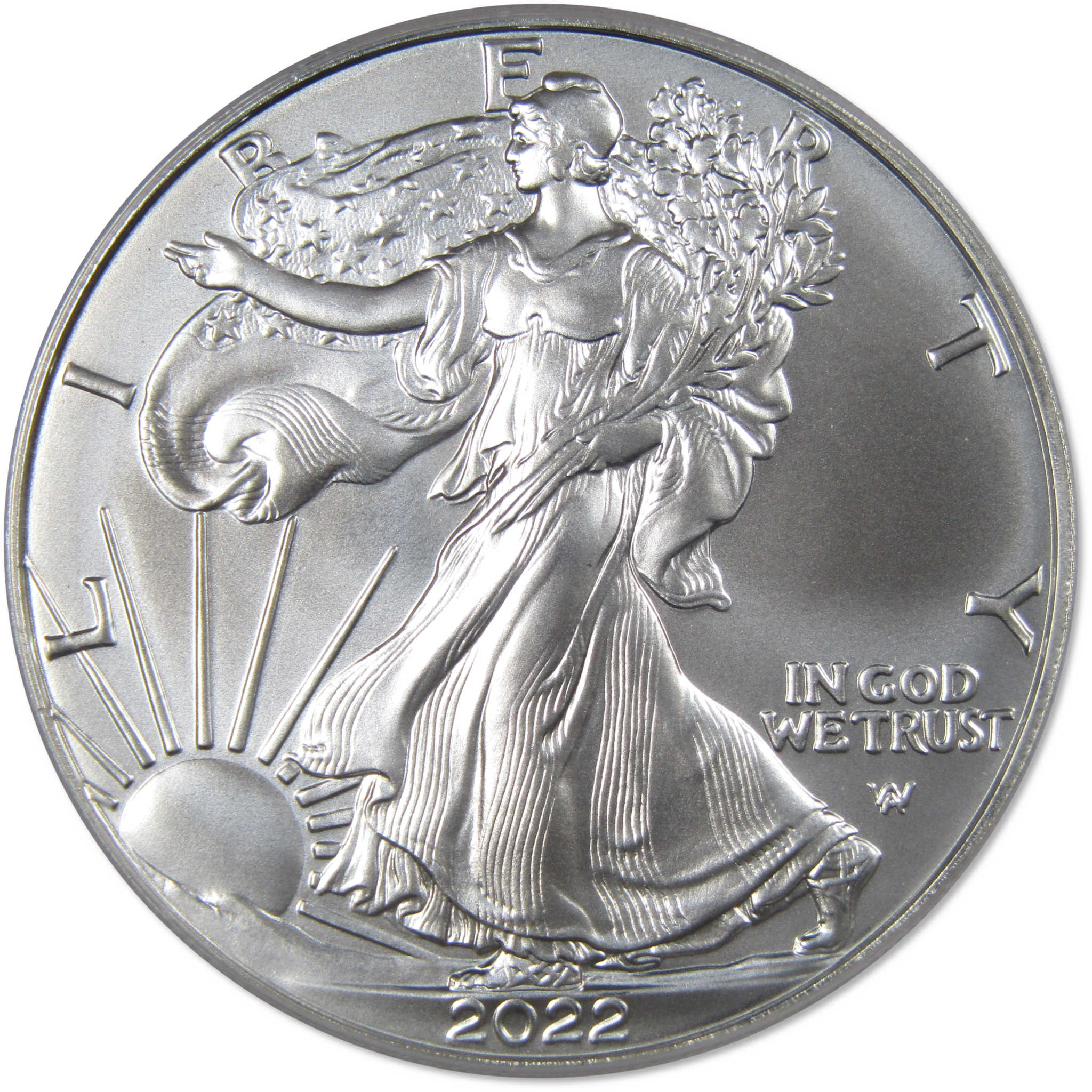 2022 American Silver Eagle MS70 PCGS First Strike Action Vue SKU:OPC7