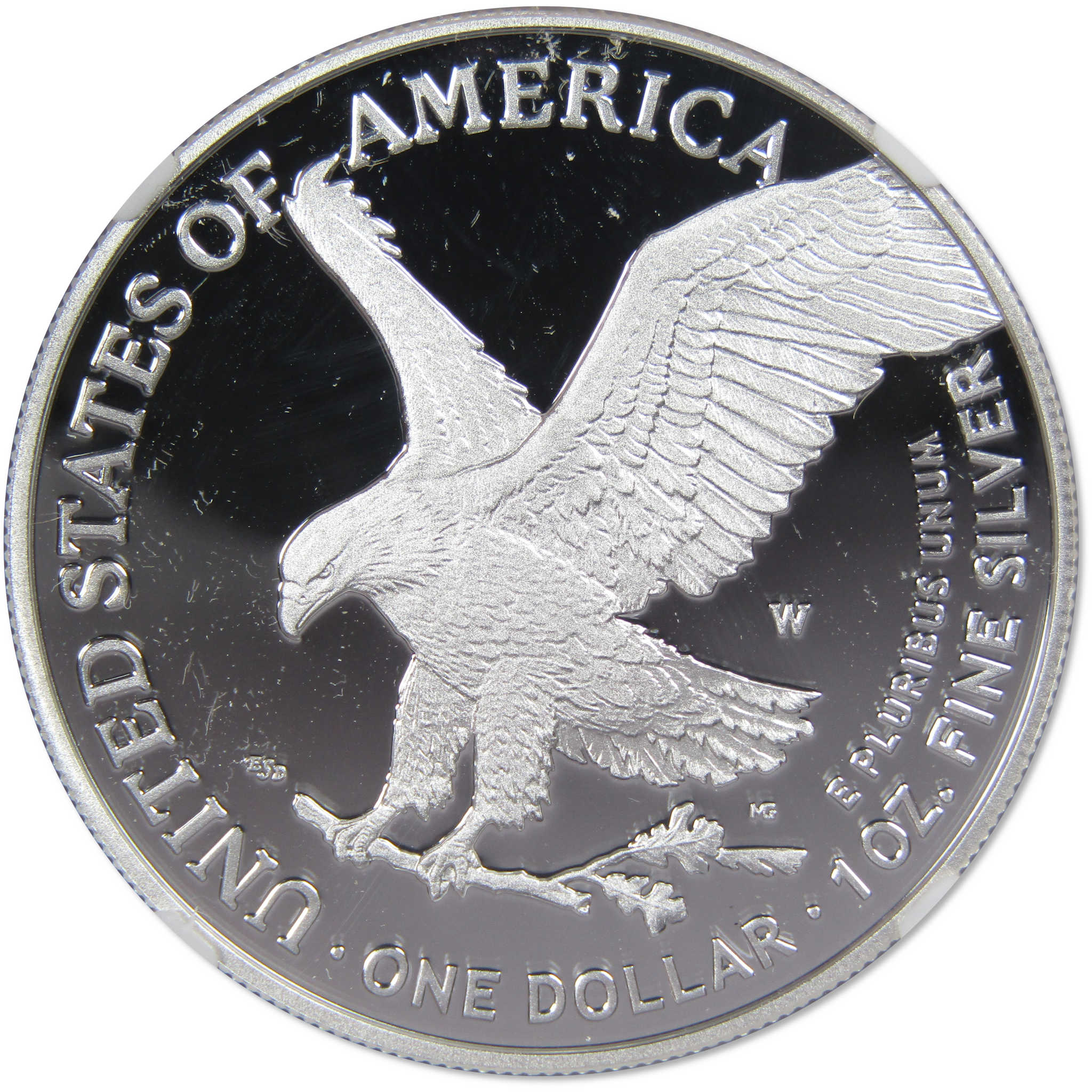 2021 W Type 1 & 2 American Silver Eagle 2 Coin Set PF70 NGC SKU:OPC3