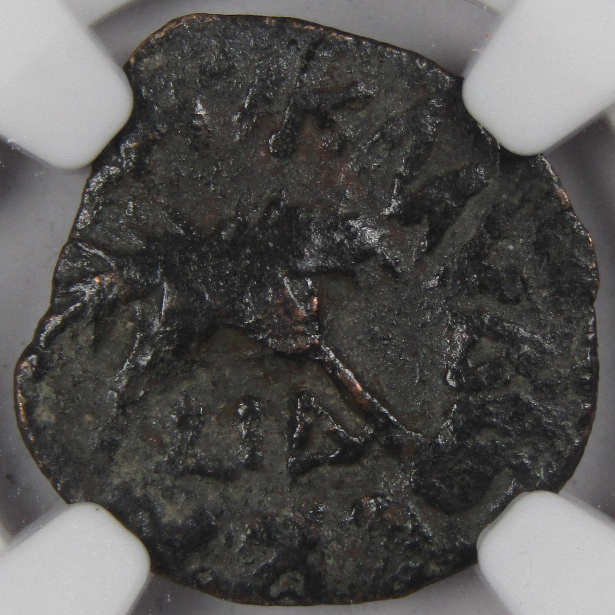 AD 52-59 AntoniFelix Prutah Palm Branches F NGC Ancient Coin SKU:I1980