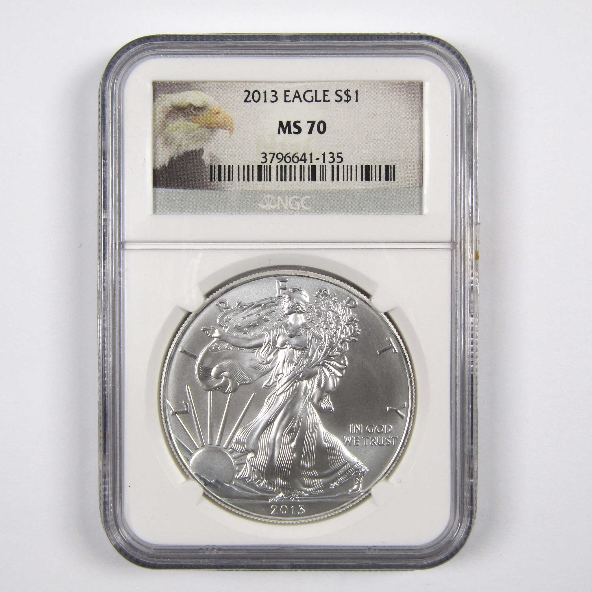 2013 American Eagle Dollar MS 70 NGC 1 oz .999 Silver $1 SKU:CPC3035