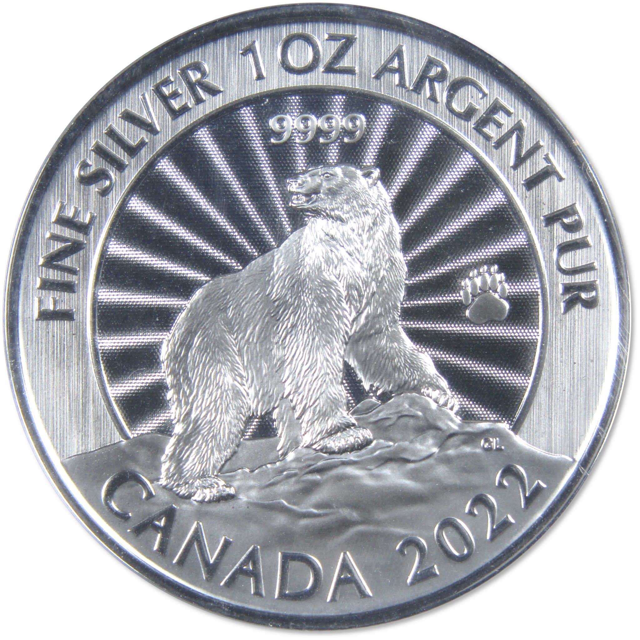 Majestic Polar Bear 1 oz .9999 Fine Silver $5 Coin First Strikes 2022 Canada