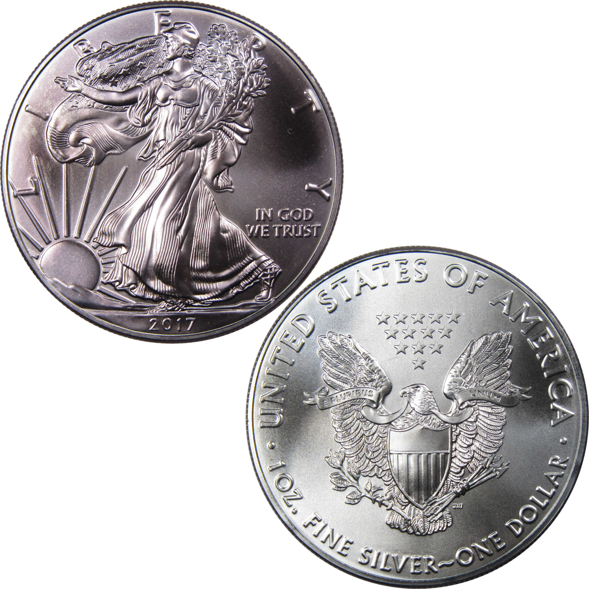 2017 American Eagle Dollar 1 oz Fine Silver Bullion Toned SKU:I1604