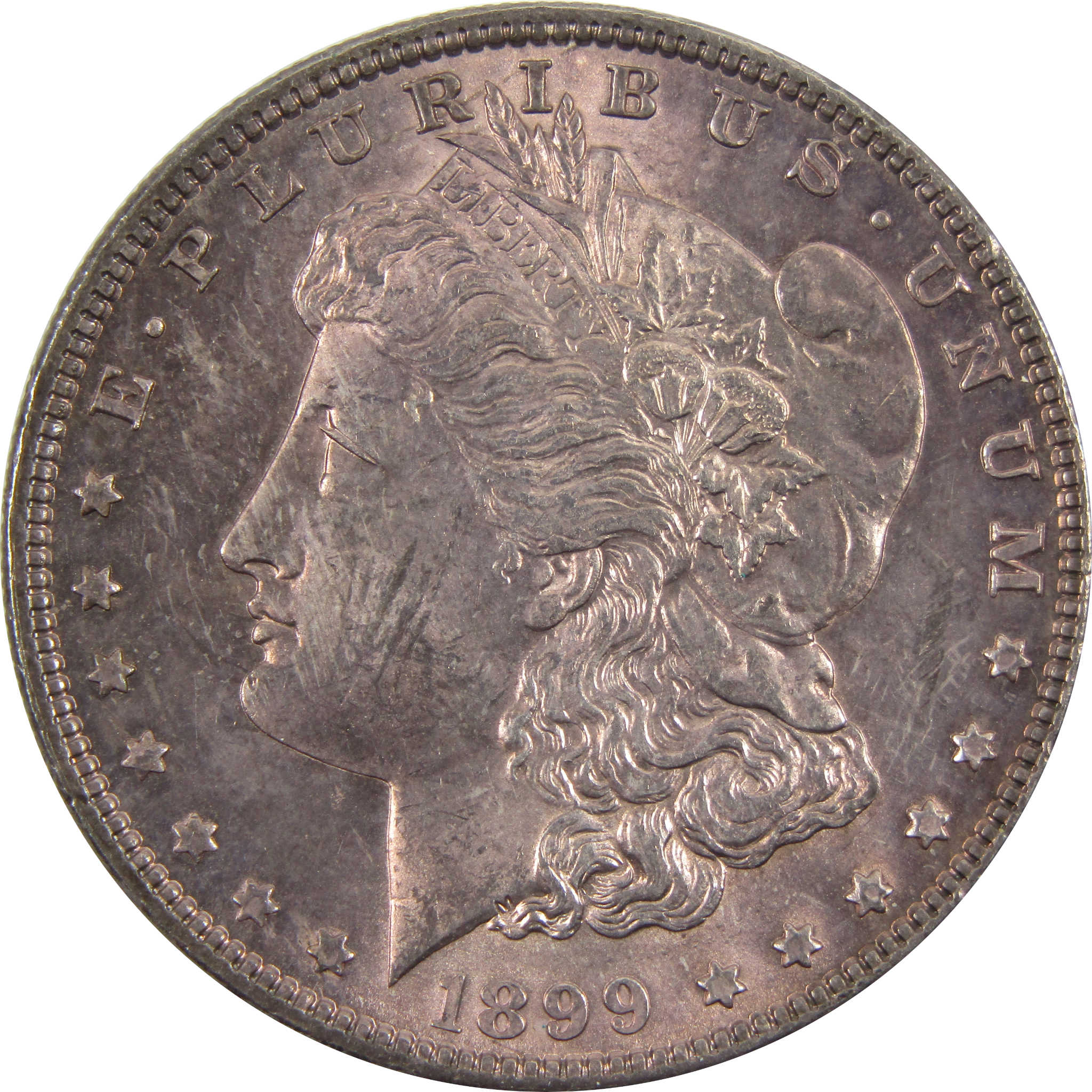 1899 Morgan Dollar BU 90% Silver $1 Coin Purple Toned SKU:I7691