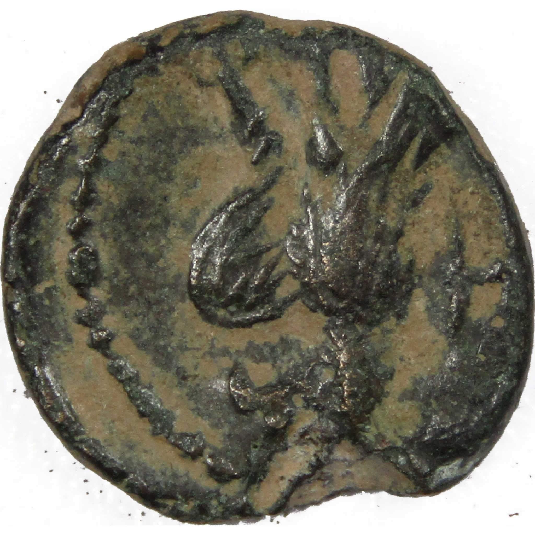 9 BC-40 AD Aretas IV AE12 Eagle Wreath Petra Nabataea F/VF SKU:IPC3808