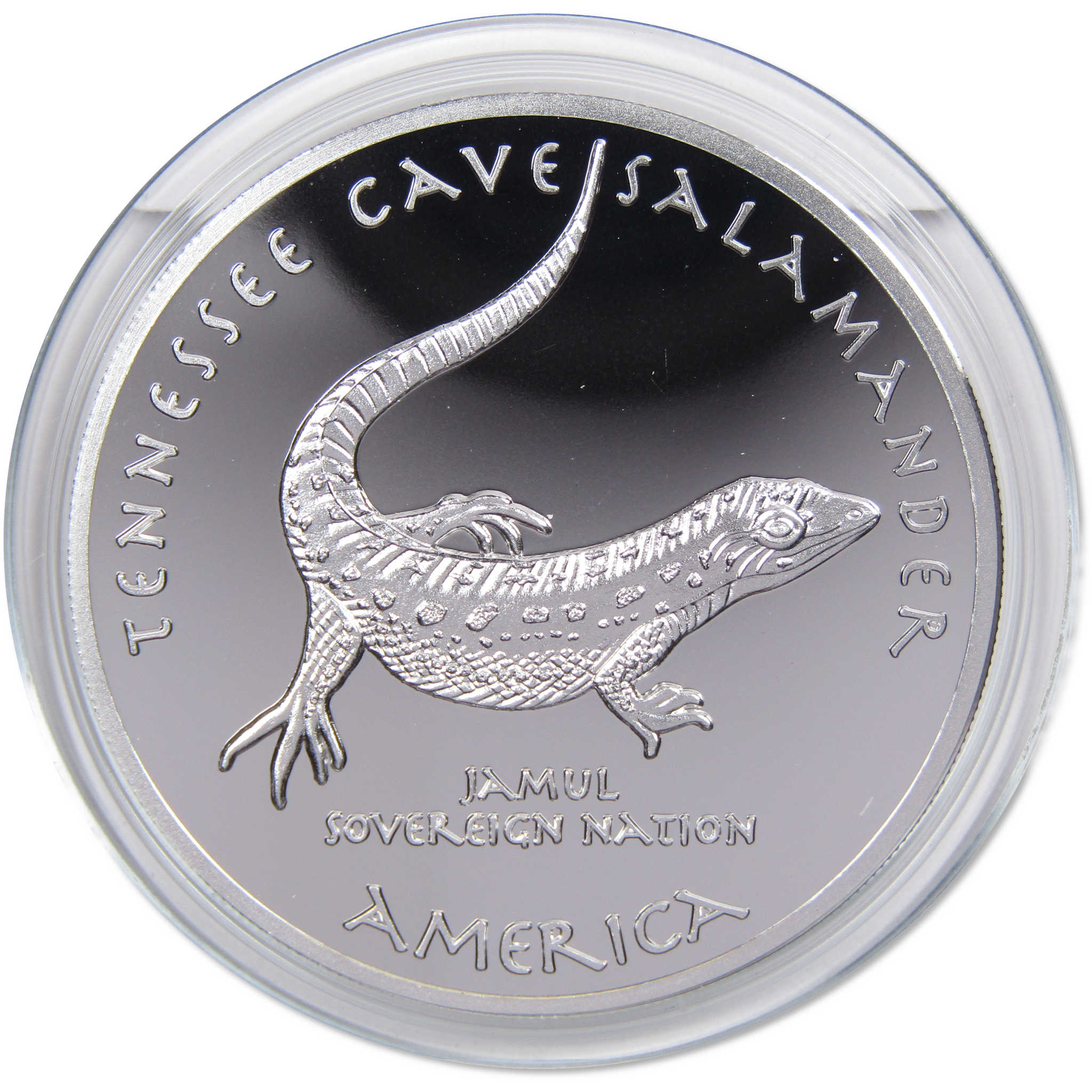 2021 Native American Jamul Catawba Tennessee Cave Salamander Silver $1 Proof