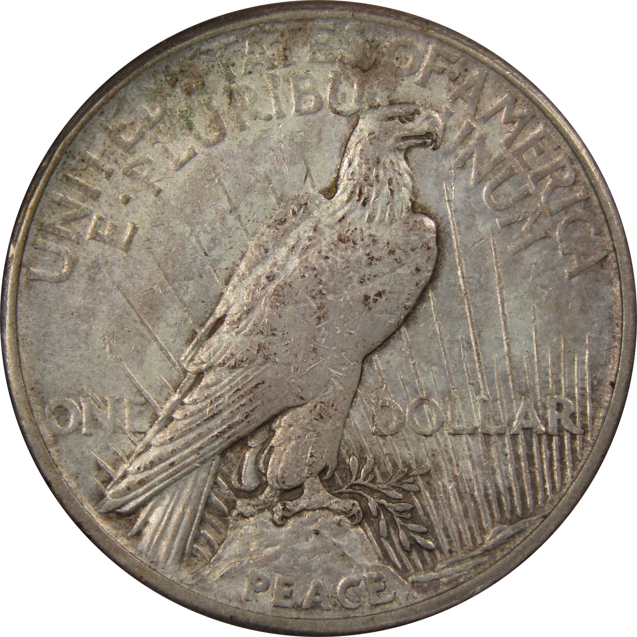 1921 High Relief Peace Dollar VF Very Fine Details Silver $1 SKU:I1146
