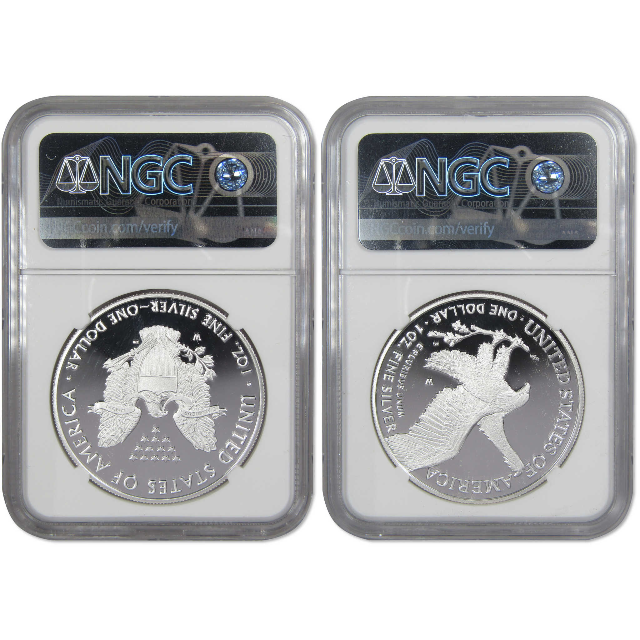 2021 W Type 1 & 2 American Silver Eagle 2 Coin Set PF70 NGC SKU:OPC3