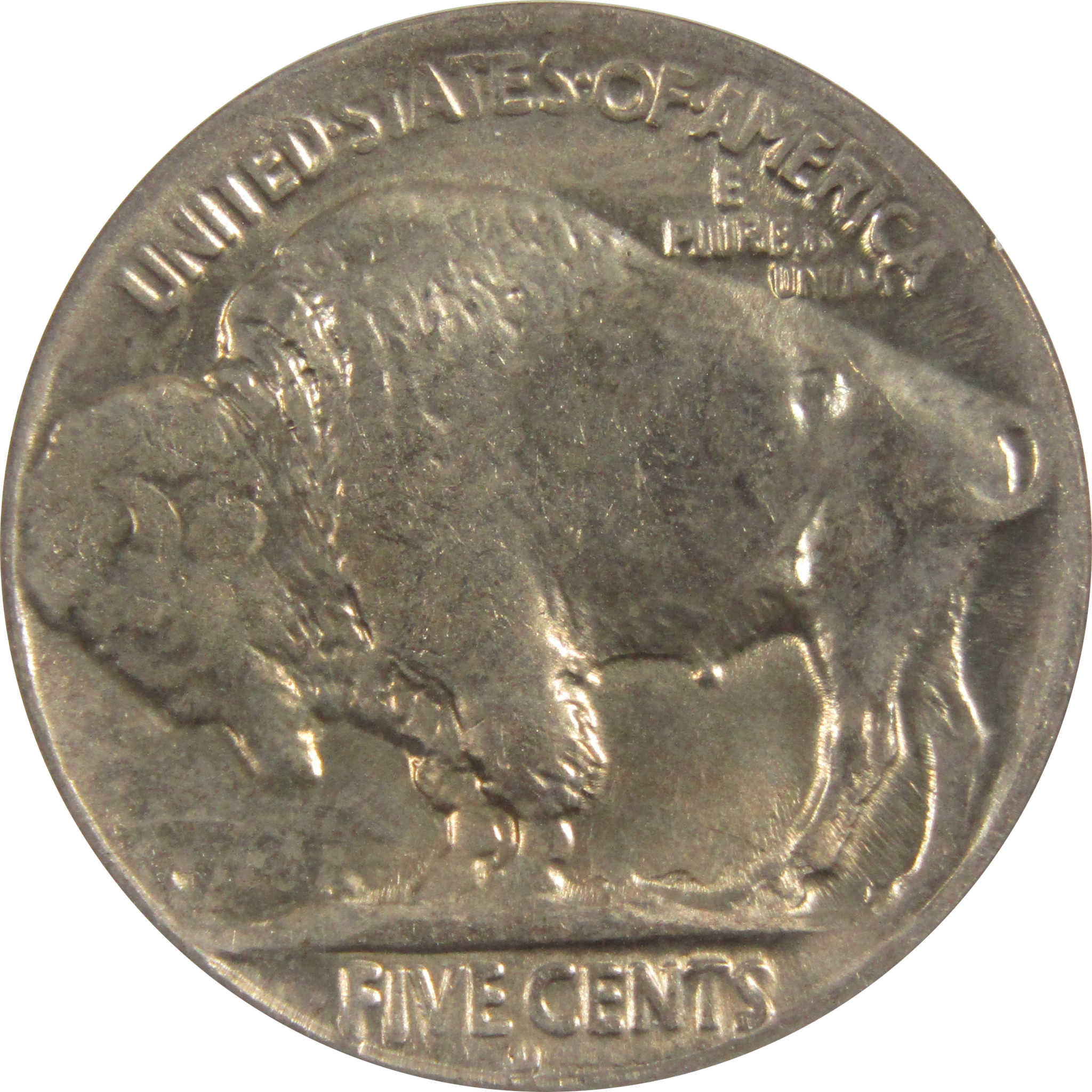 1926 D Indian Head Buffalo Nickel MS 64 ANACS Uncirculated SKU:IPC7278