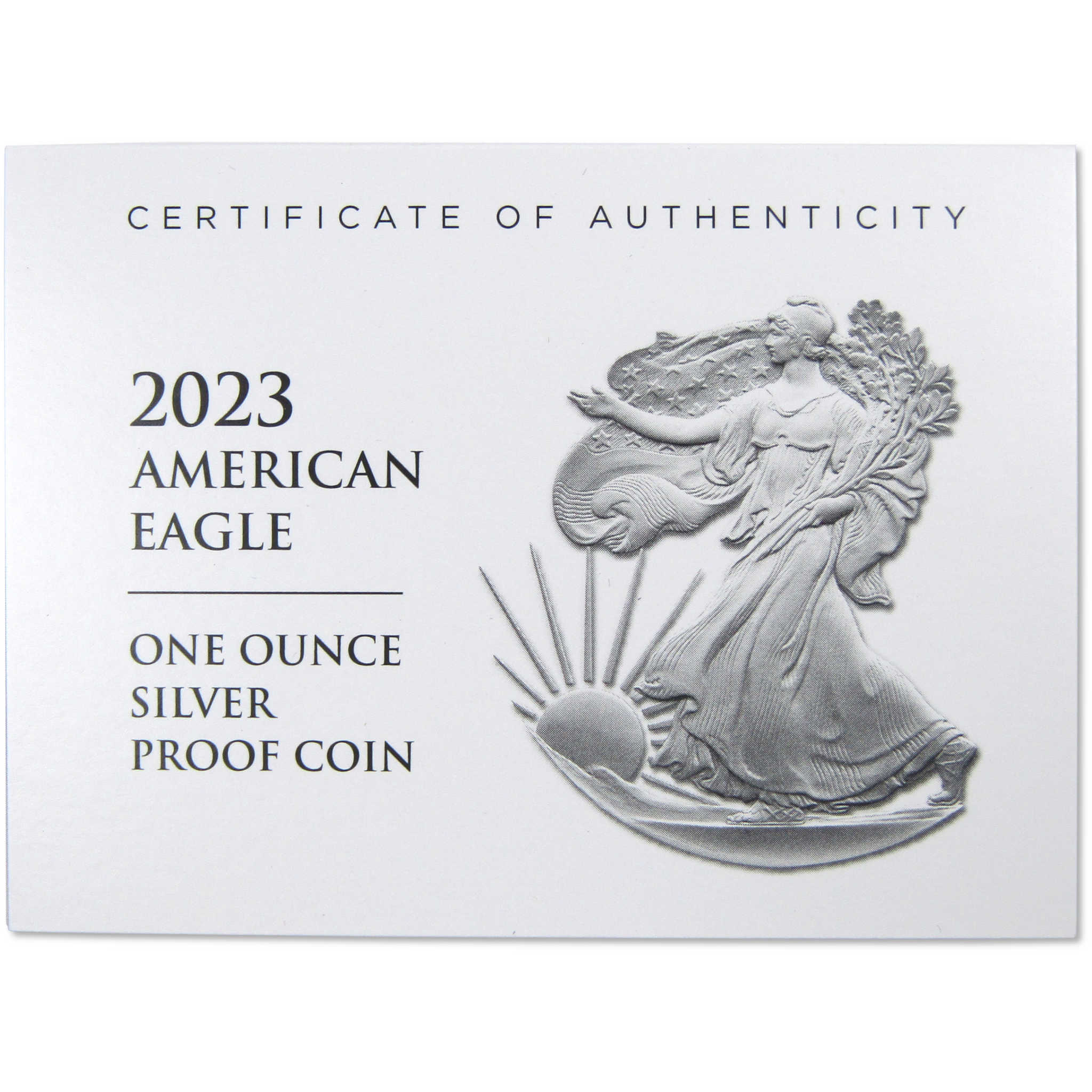 2023 W American Silver Eagle Bullion Proof $1 Coin OGP COA SKU:OPC99